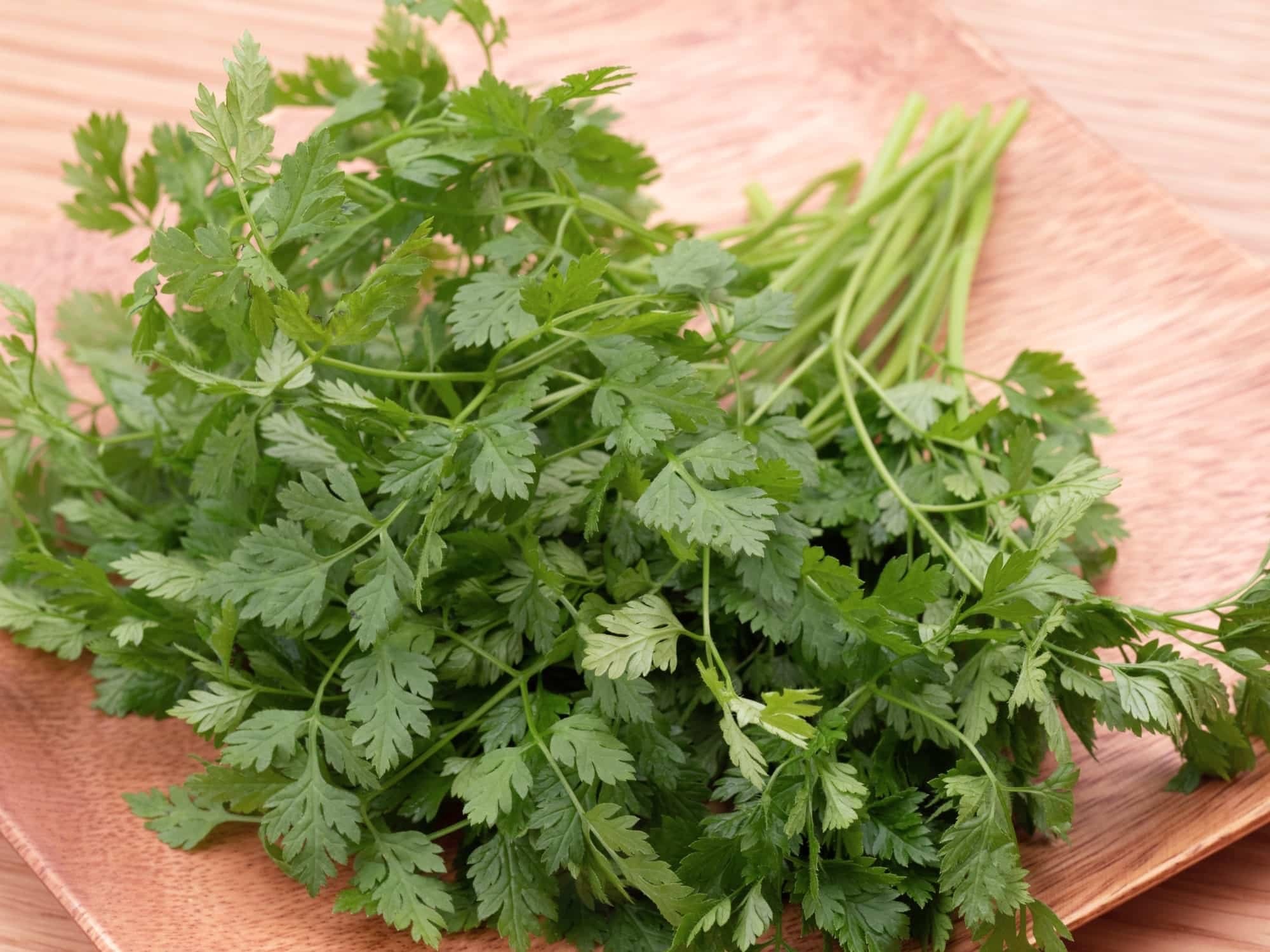 Chervil, Dos and don'ts, Spiceography, 2000x1500 HD Desktop