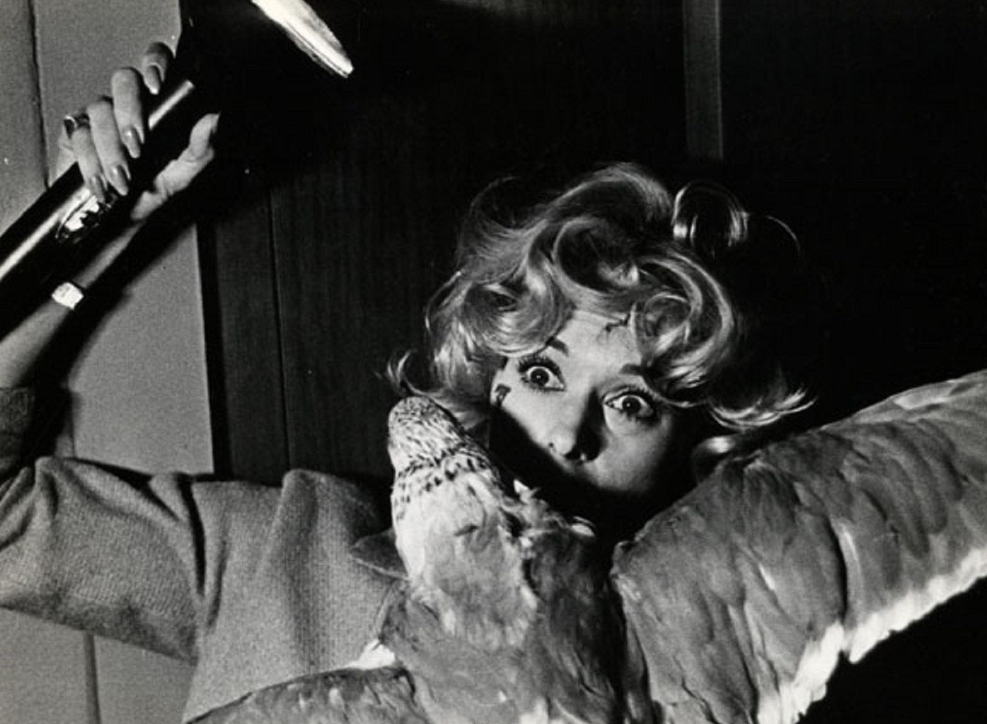 Alfred Hitchcock, The Birds, 1963, MoMA, 2000x1470 HD Desktop