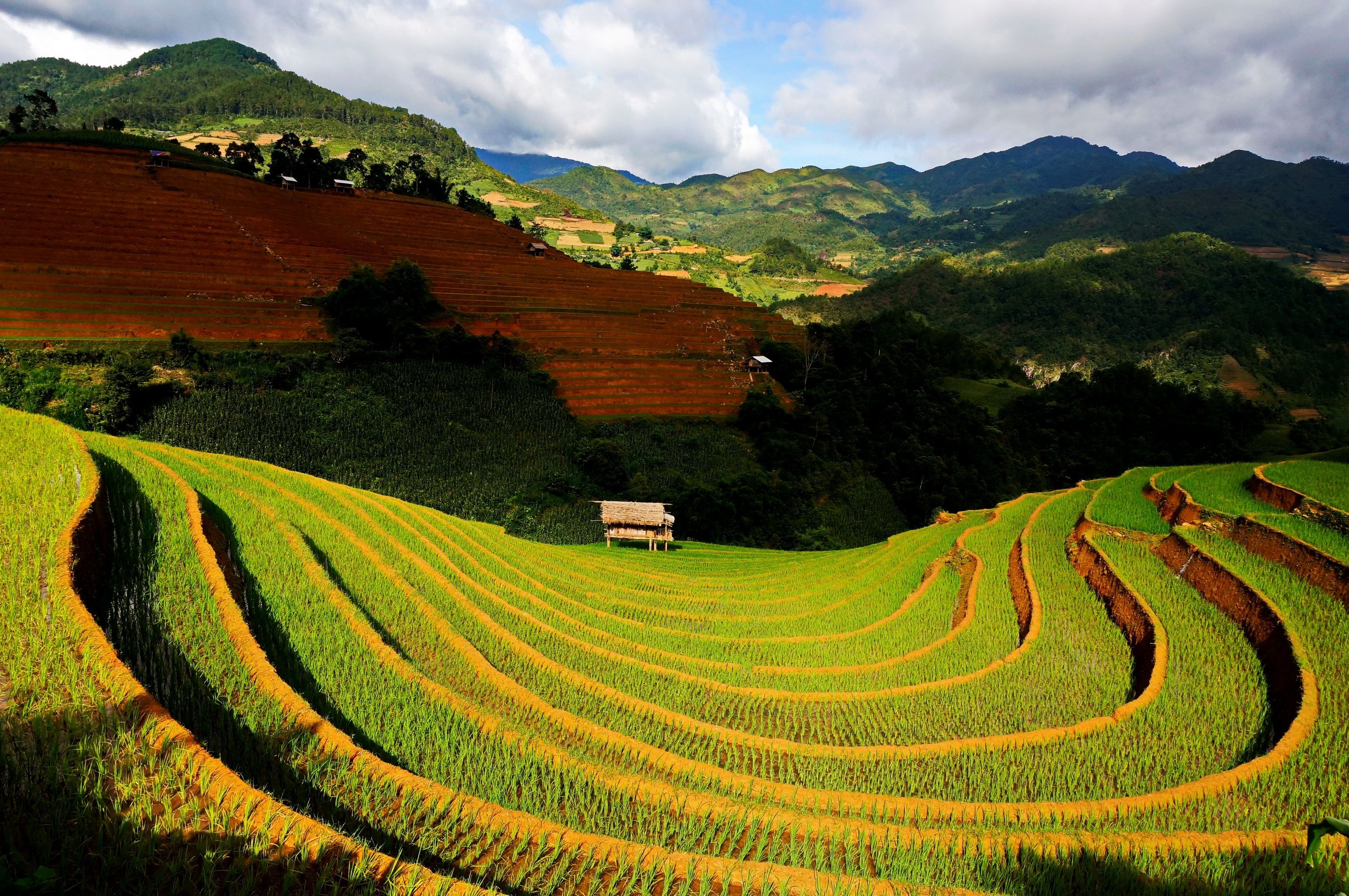 Mu Cang Chai, Vietnam, Captivating wallpaper, Picturesque scenery, 3000x2000 HD Desktop