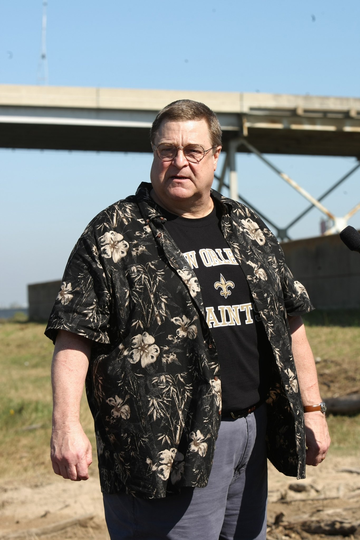 John Goodman, Movies, Treme, 1370x2050 HD Phone