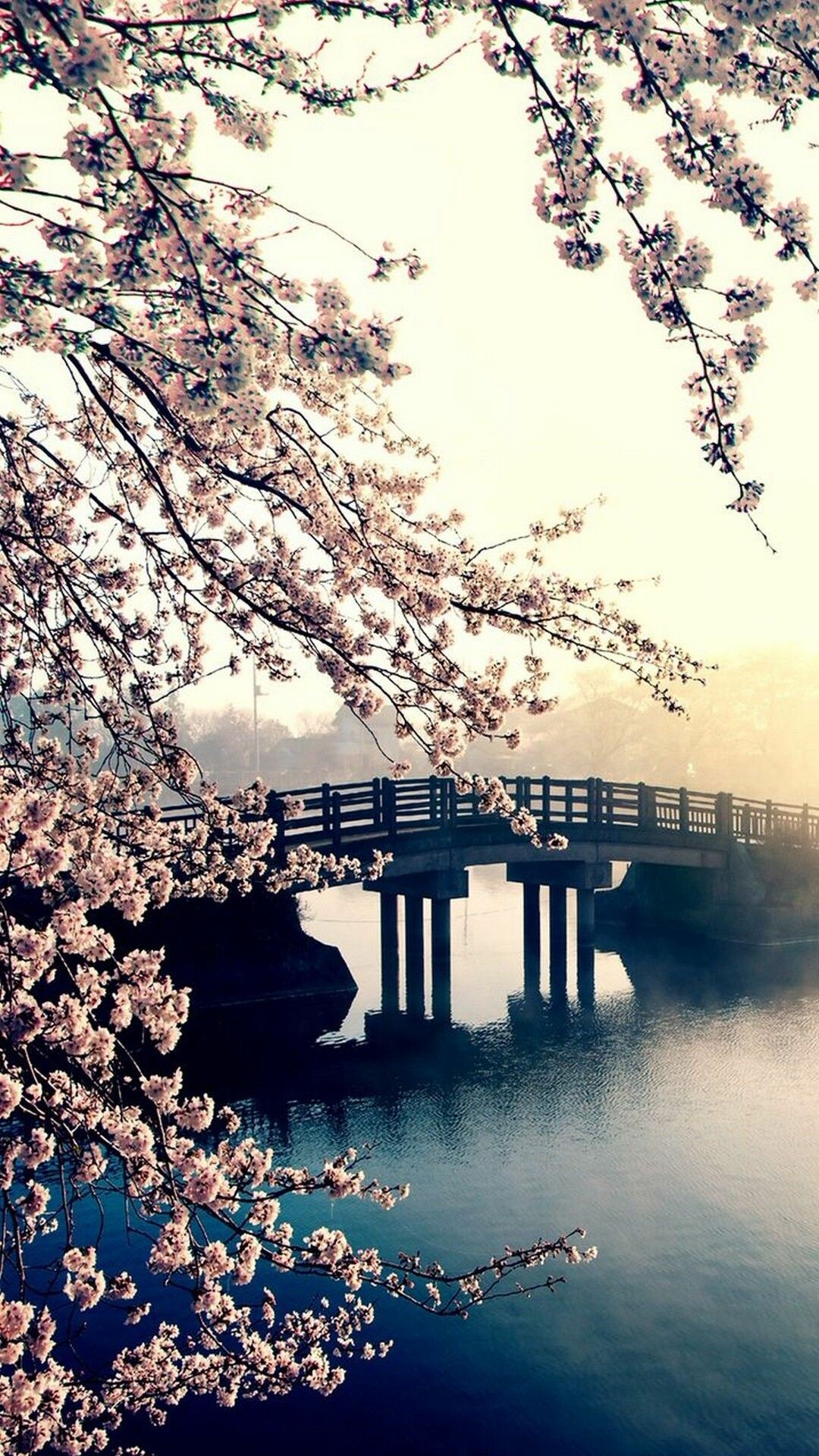 Spring, Background image, Blooming flowers, Scenic beauty, 1080x1920 Full HD Phone