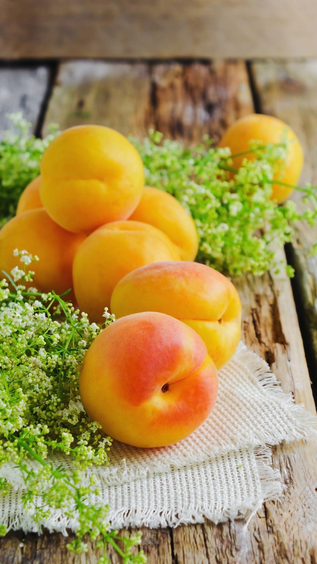 Apricot, Delicious and nutritious, Freshly picked, Succulent flesh, 1080x1920 Full HD Phone