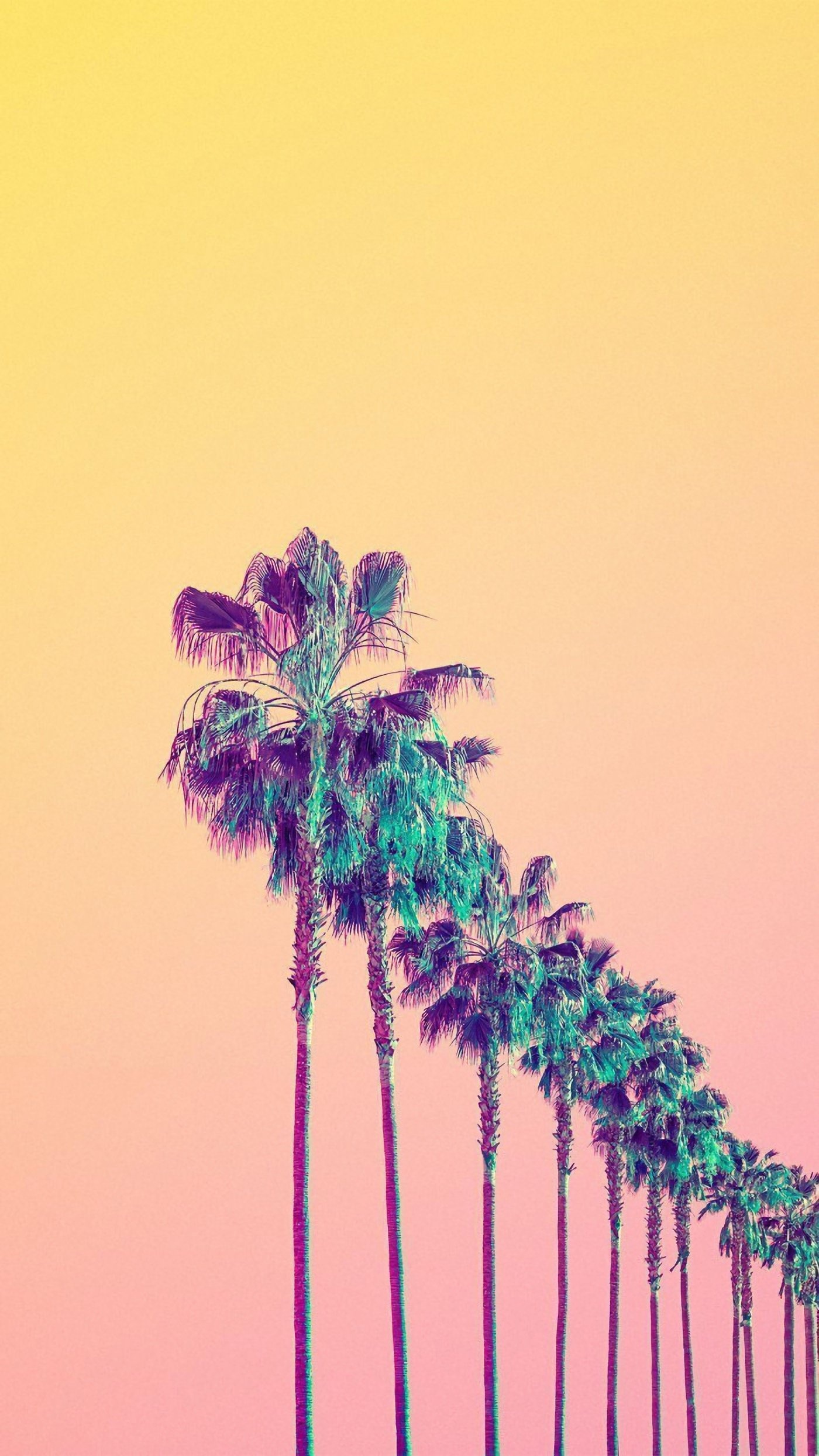 Palms, For iPhone Wallpaper, 1400x2490 HD Phone