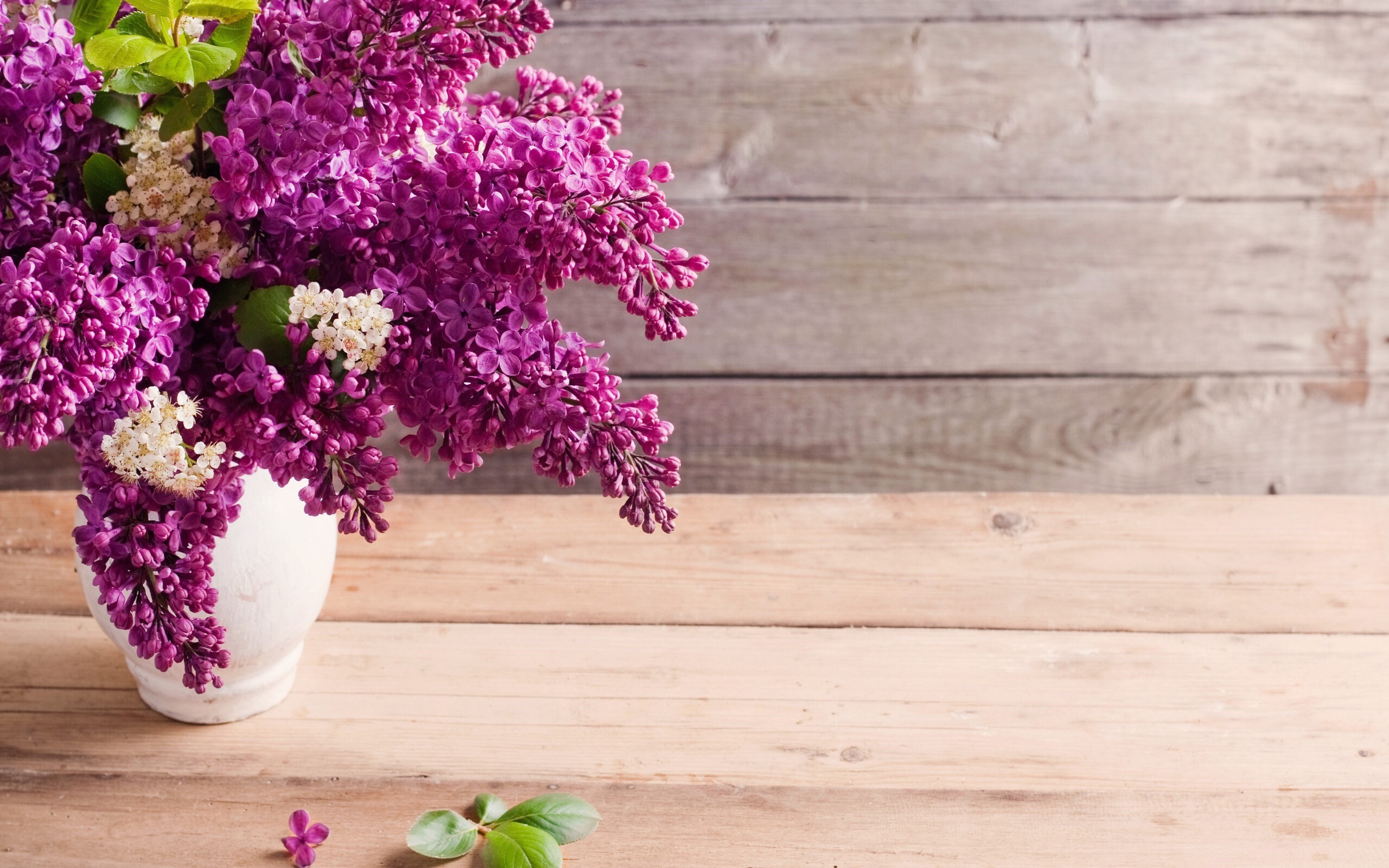 Lilacs, Flower Bouquet Wallpaper, 2560x1600 HD Desktop