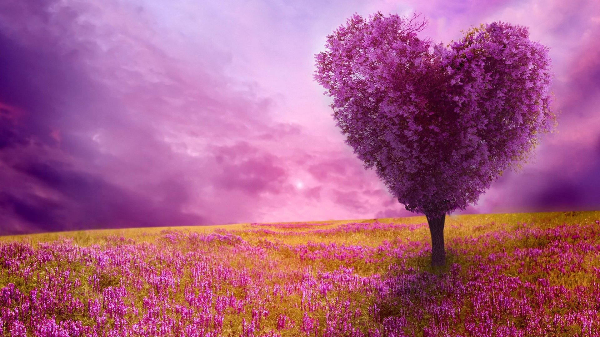 Heart shaped tree, Beautiful Backgrounds Wallpaper, 1920x1080 Full HD Desktop