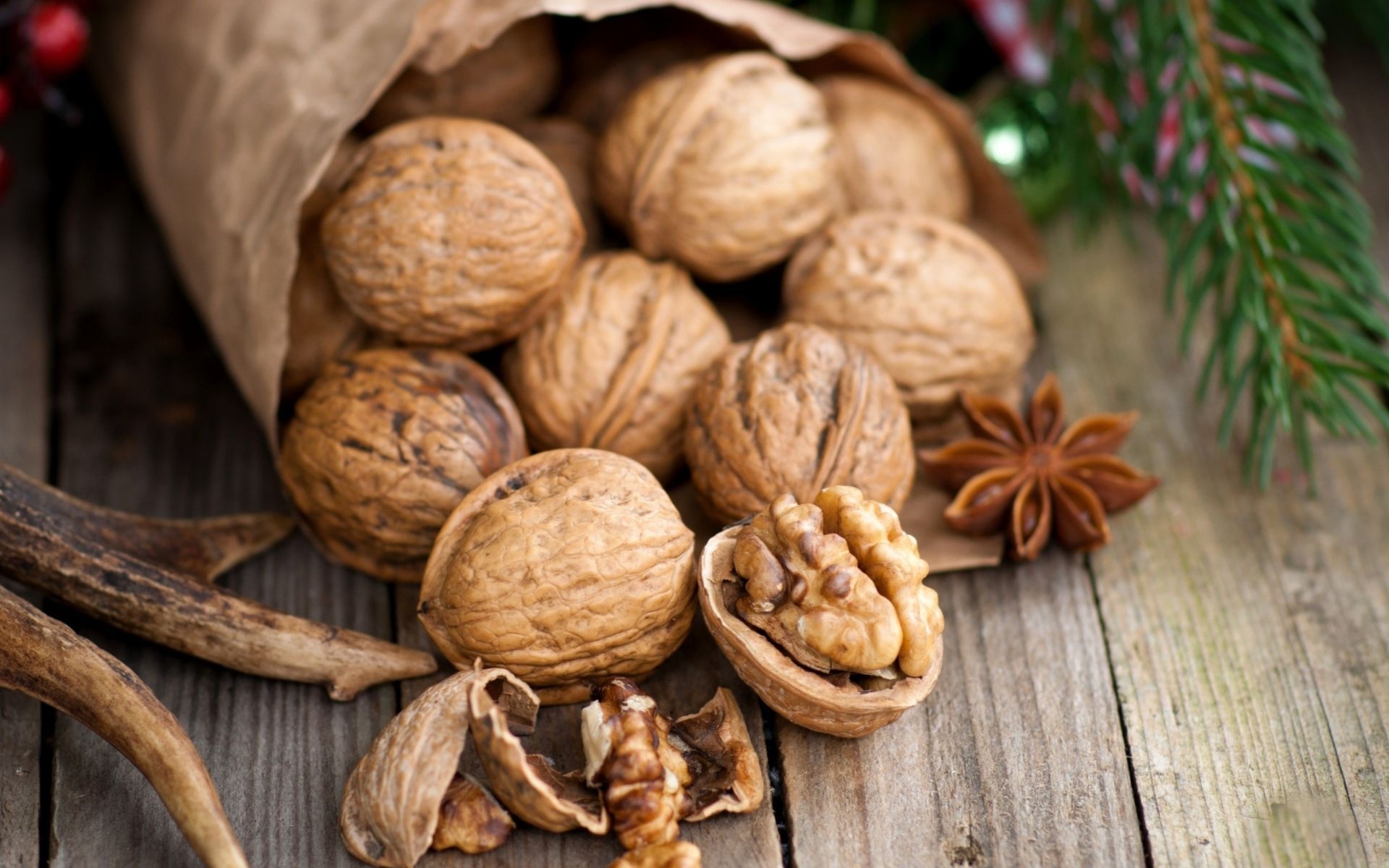 Walnuts, HD wallpapers, Walnut backgrounds, Desktop beautification, 1920x1200 HD Desktop