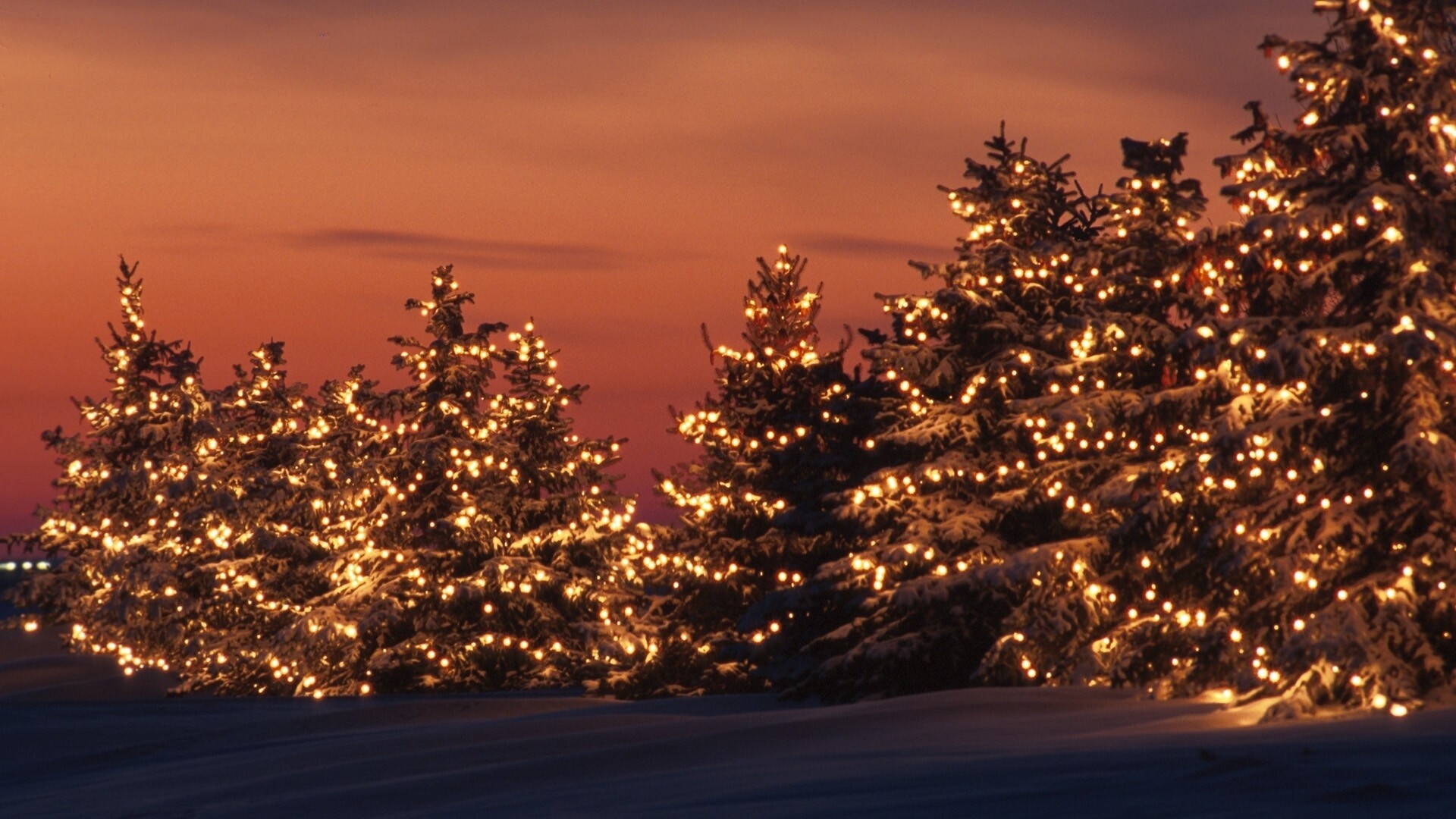 Fairy Lights, Christmas lights, Desktop wallpaper, Holiday cheer, 1920x1080 Full HD Desktop