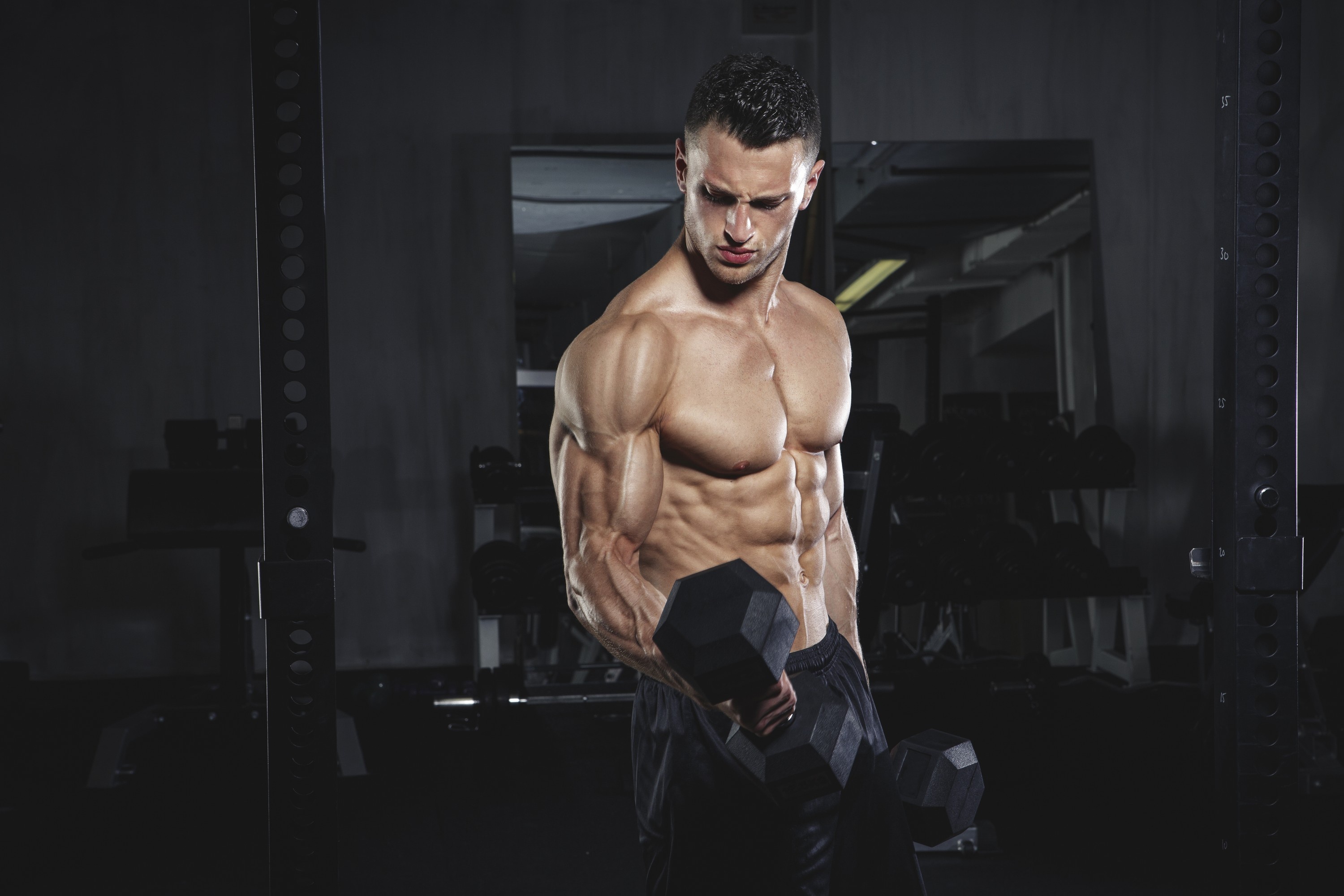 Hex dumbbell bicep curl, Shirtless muscular bodybuilder, Gym power cage rack, HD Desktop wallpaper