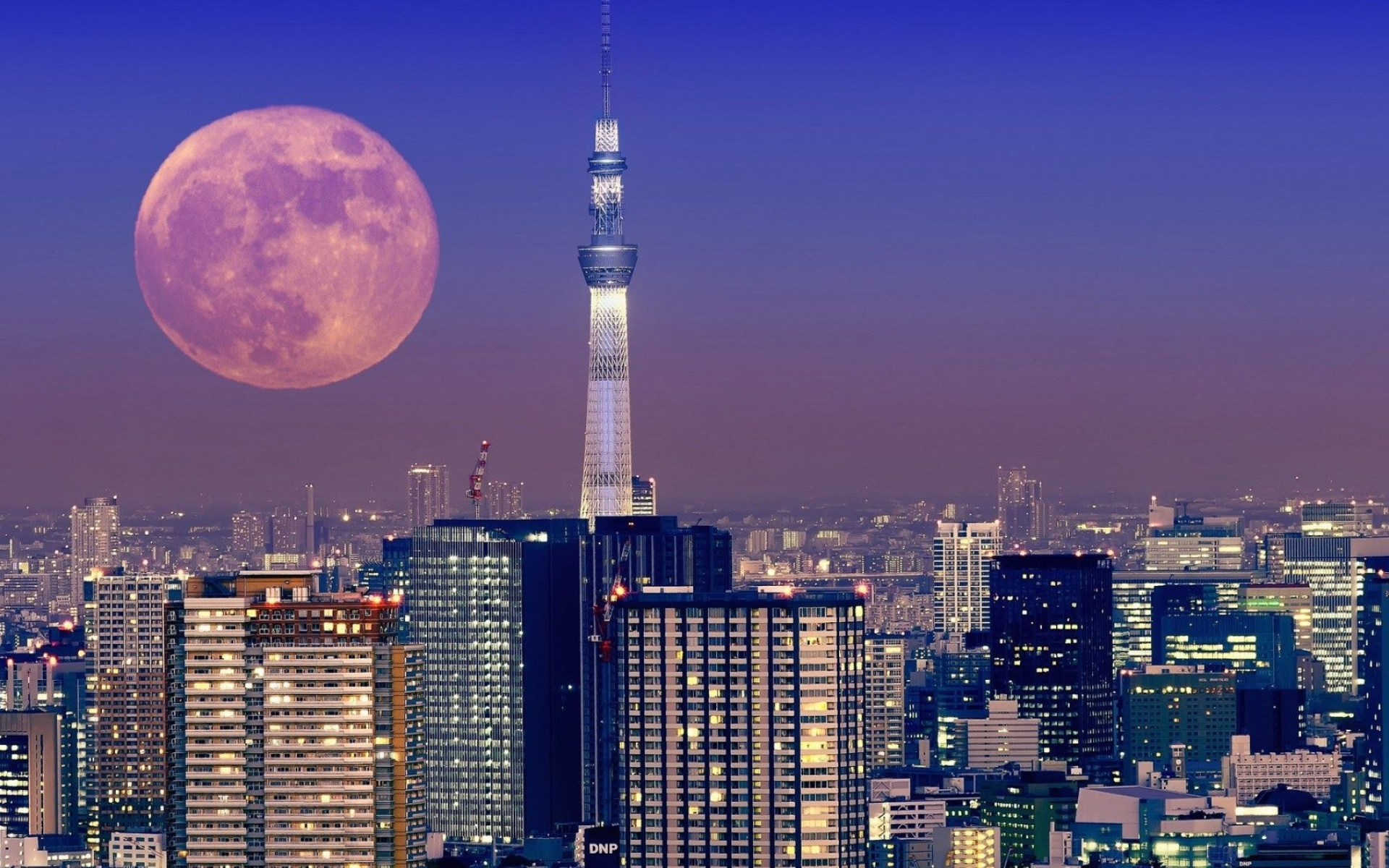 Tokyo, Japanese culture, Traveller's paradise, Vibrant cityscape, 1920x1200 HD Desktop