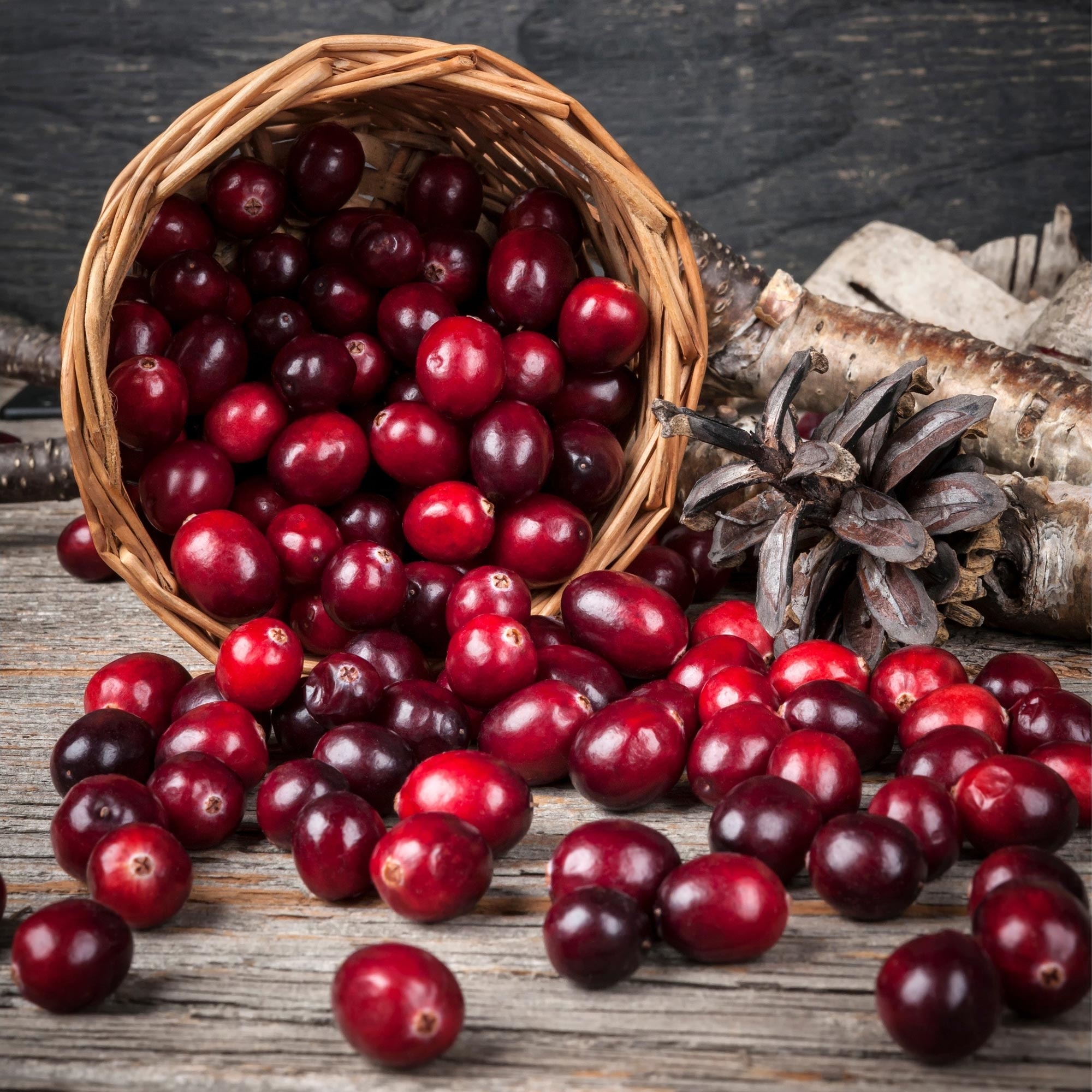 Heart-healthy food, Cranberries for cardiovascular health, Nutrient powerhouse, Great for the heart, 2000x2000 HD Phone