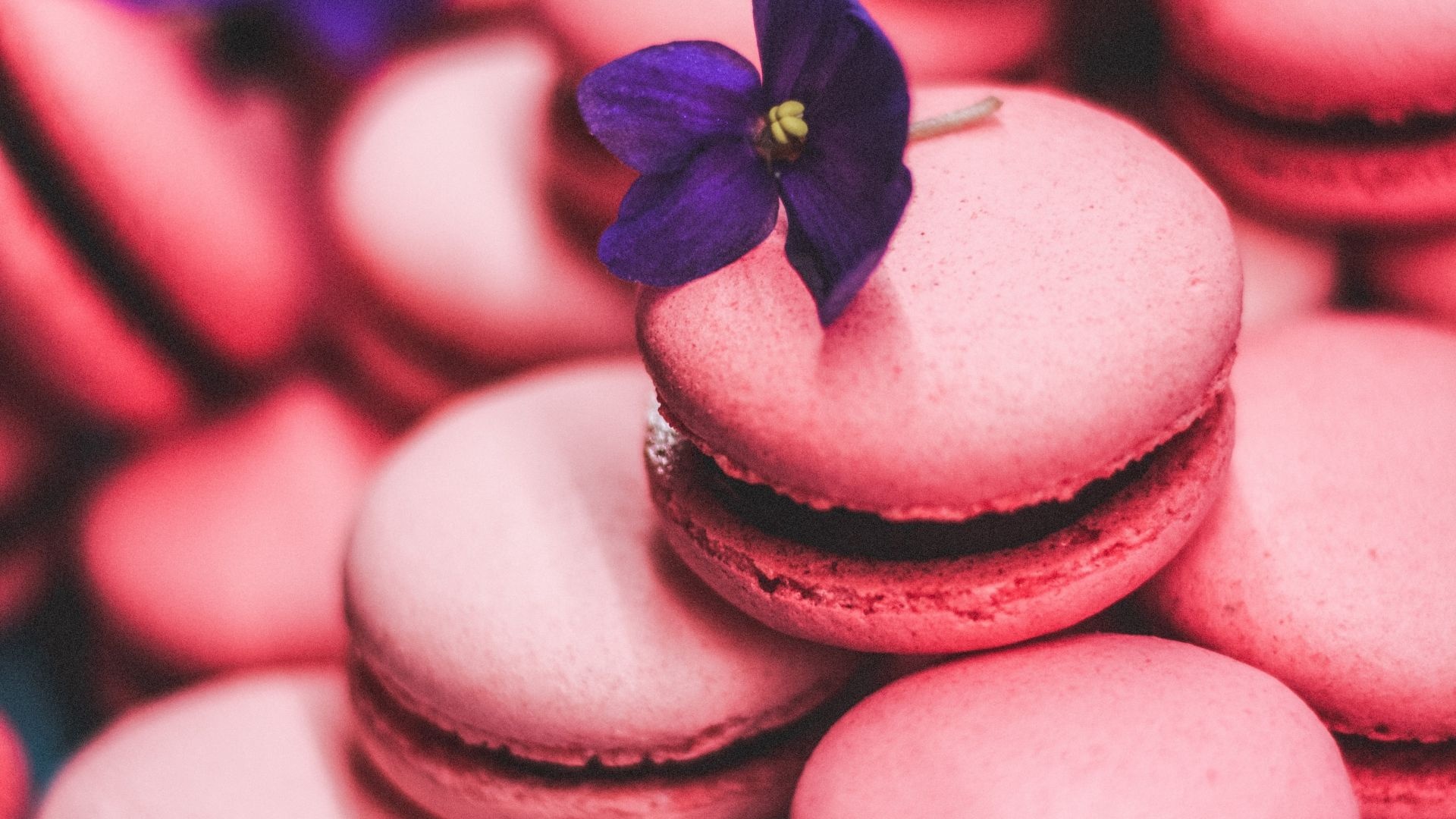 Elegant macaron tower, Pink perfection, Tempting dessert display, Whimsical celebration centerpiece, 1920x1080 Full HD Desktop