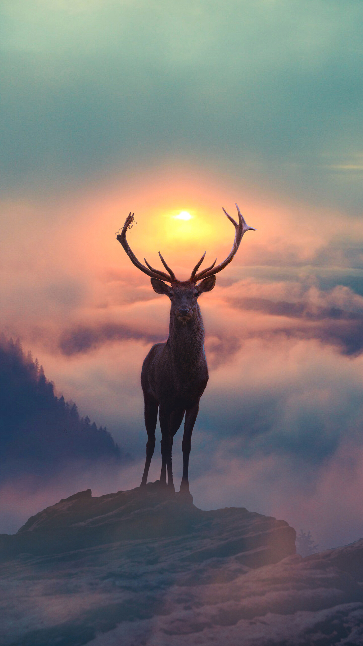 Reindeer in the morning, Golden sunrise, Tranquil beauty, Majestic grace, 1440x2560 HD Phone