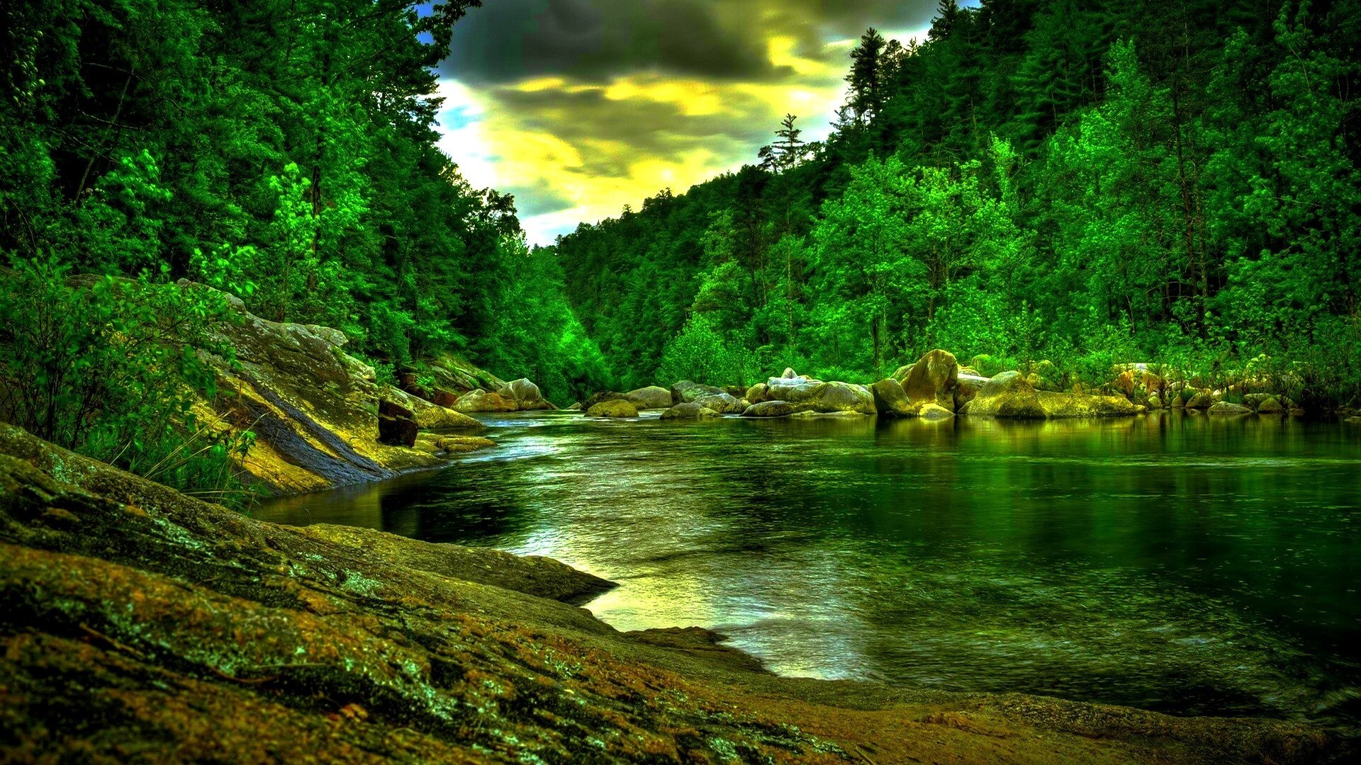 Beautiful green forest river, Nature's tranquility, Pristine landscapes, Serene waters, 1920x1080 Full HD Desktop