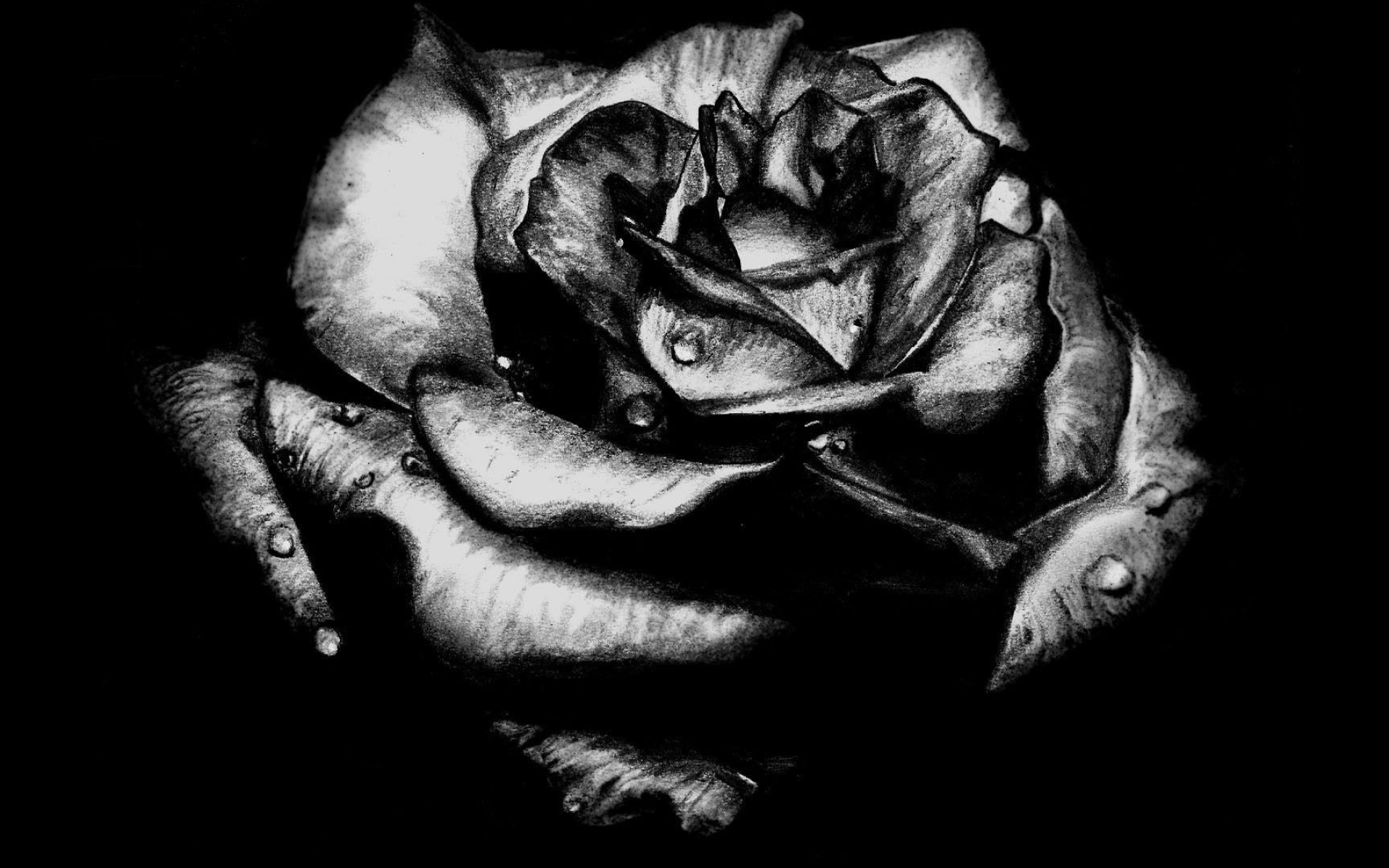 Rose, Gothic Art Wallpaper, 1920x1200 HD Desktop