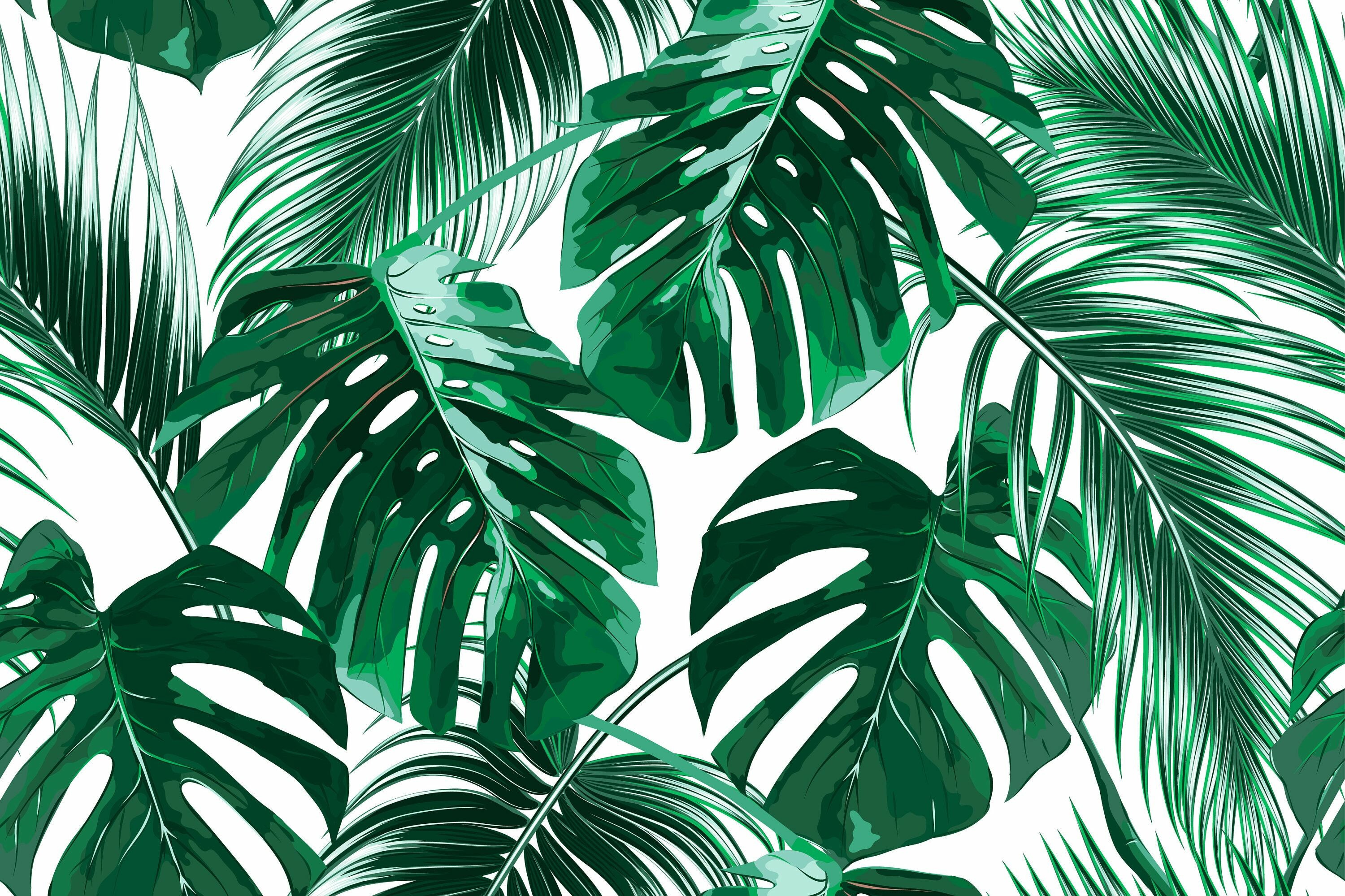 Palm tree leaf, Tropical paradise, Relaxing backgrounds, Nature's beauty, 3000x2000 HD Desktop