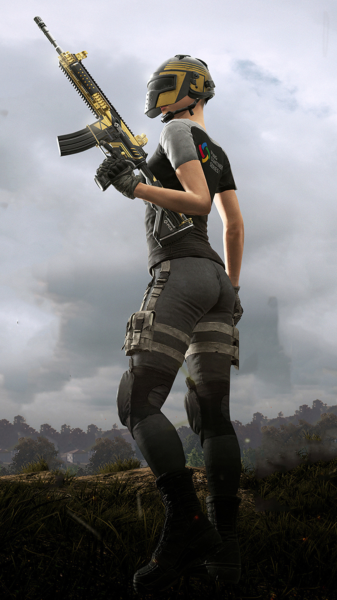 PCS1 M416 rifle, PCS1 Level 3 helmet, PUBG Continental Series 1, Full HD Phone wallpaper
