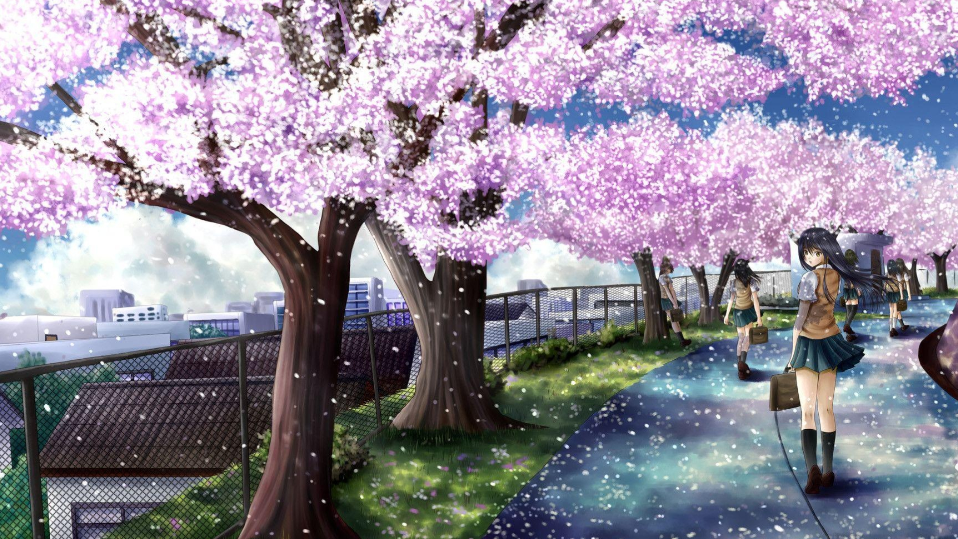 Anime schoolgirls in uniform, Blooming cherry blossom trees, Falling pink sakura petals, Full HD Desktop wallpaper