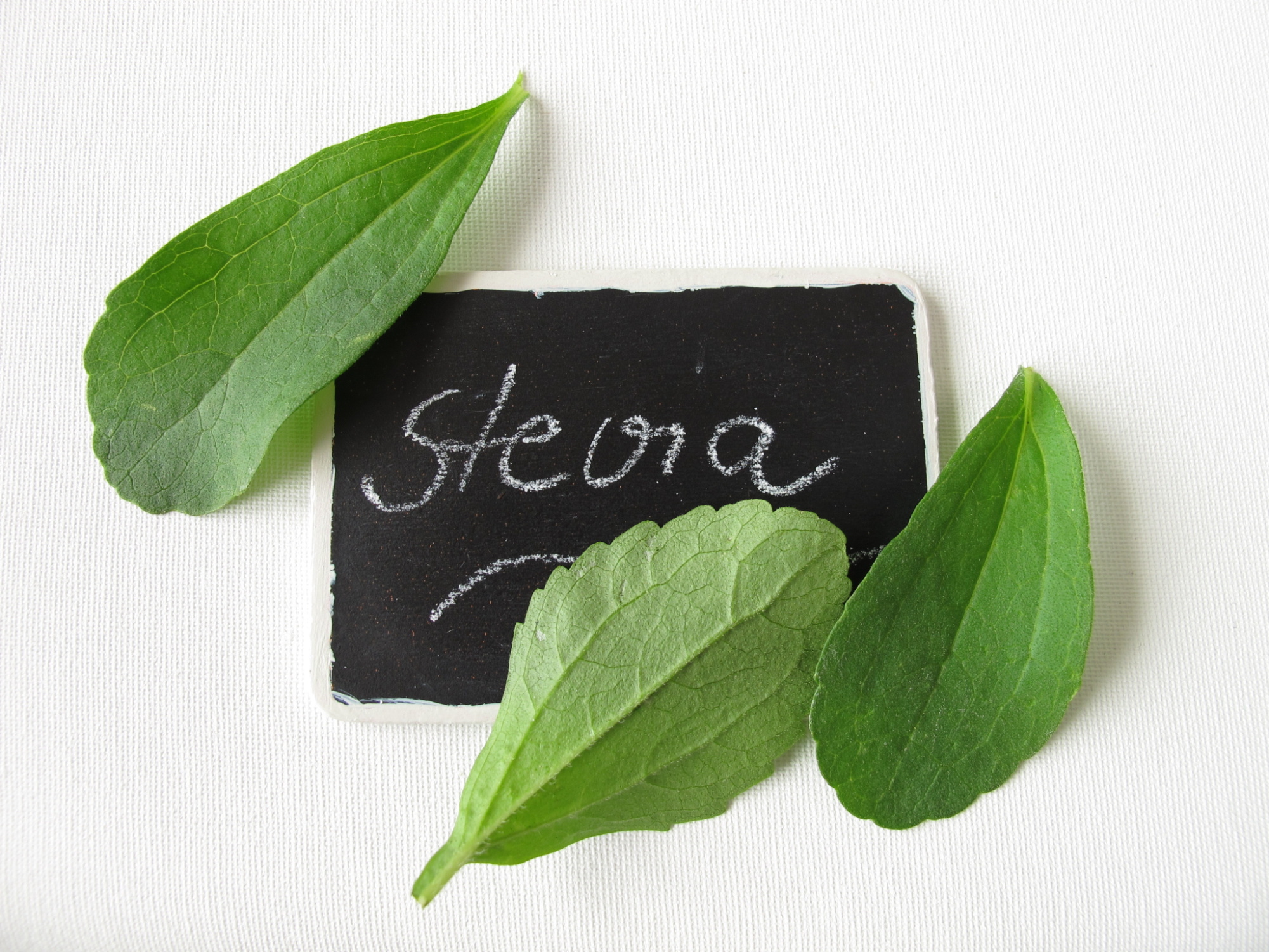 Leaves, Stevia Wallpaper, 2010x1510 HD Desktop