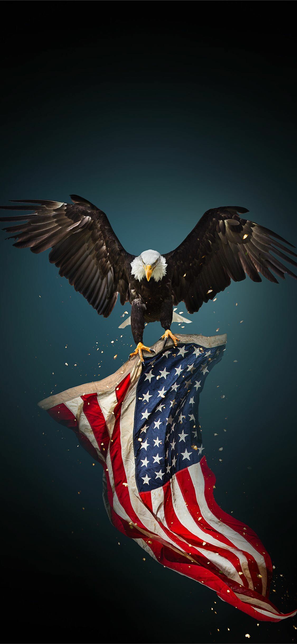 Eagle, Independence Day (USA) Wallpaper, 1130x2440 HD Phone