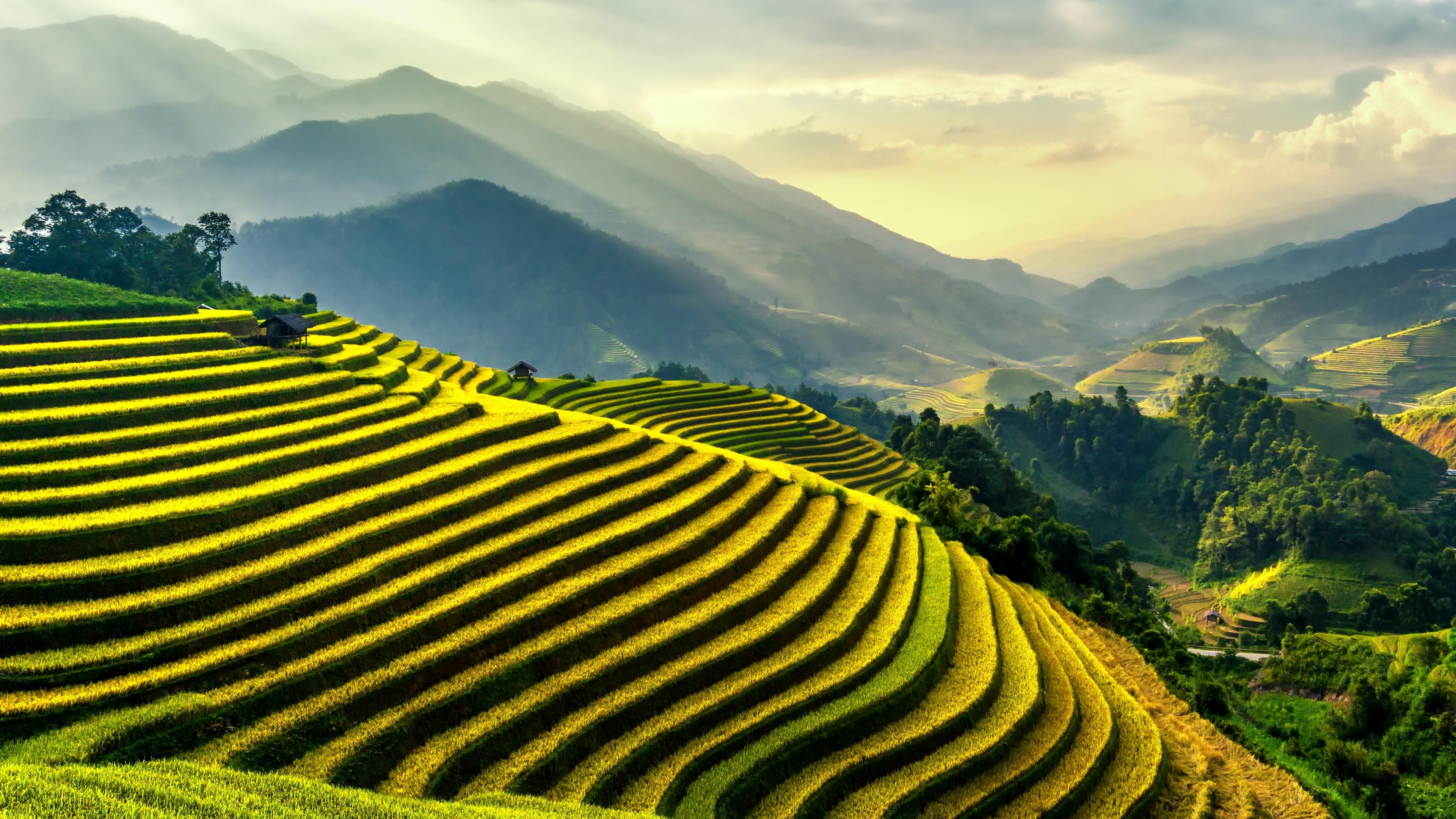 Bali wonders, Popular wallpapers, Breathtaking backgrounds, Vibrant rice terraces, 3840x2160 4K Desktop