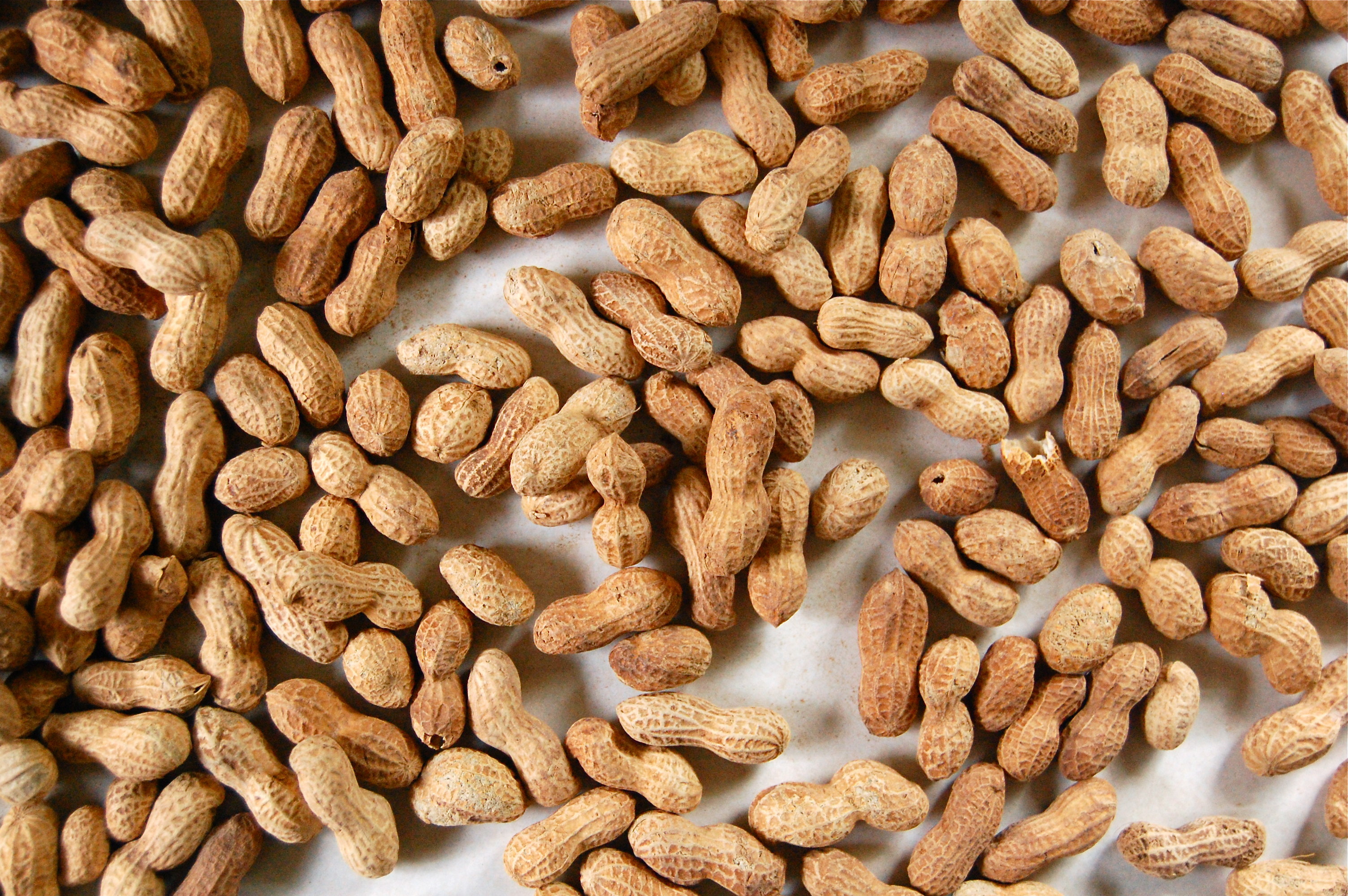 Peanuts (Food), Nutty delight, Close-up image, Irresistible flavor, 3010x2000 HD Desktop