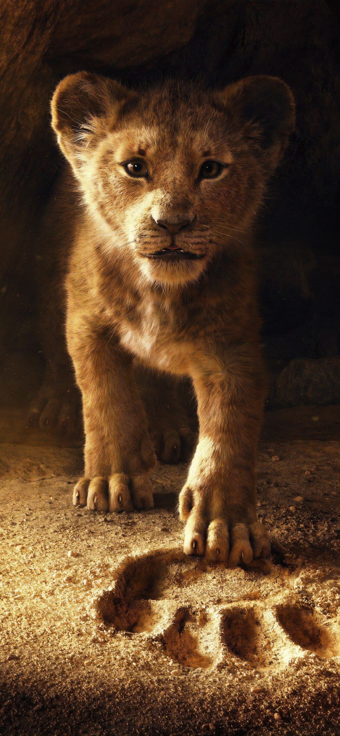 The Lion King 2019, The Lion King Wallpaper, 1130x2440 HD Phone