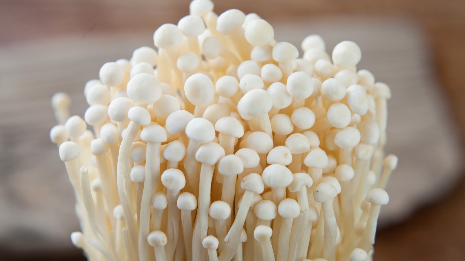 Archaeology of mushrooms, enoki chefs mandala, 1920x1080 Full HD Desktop