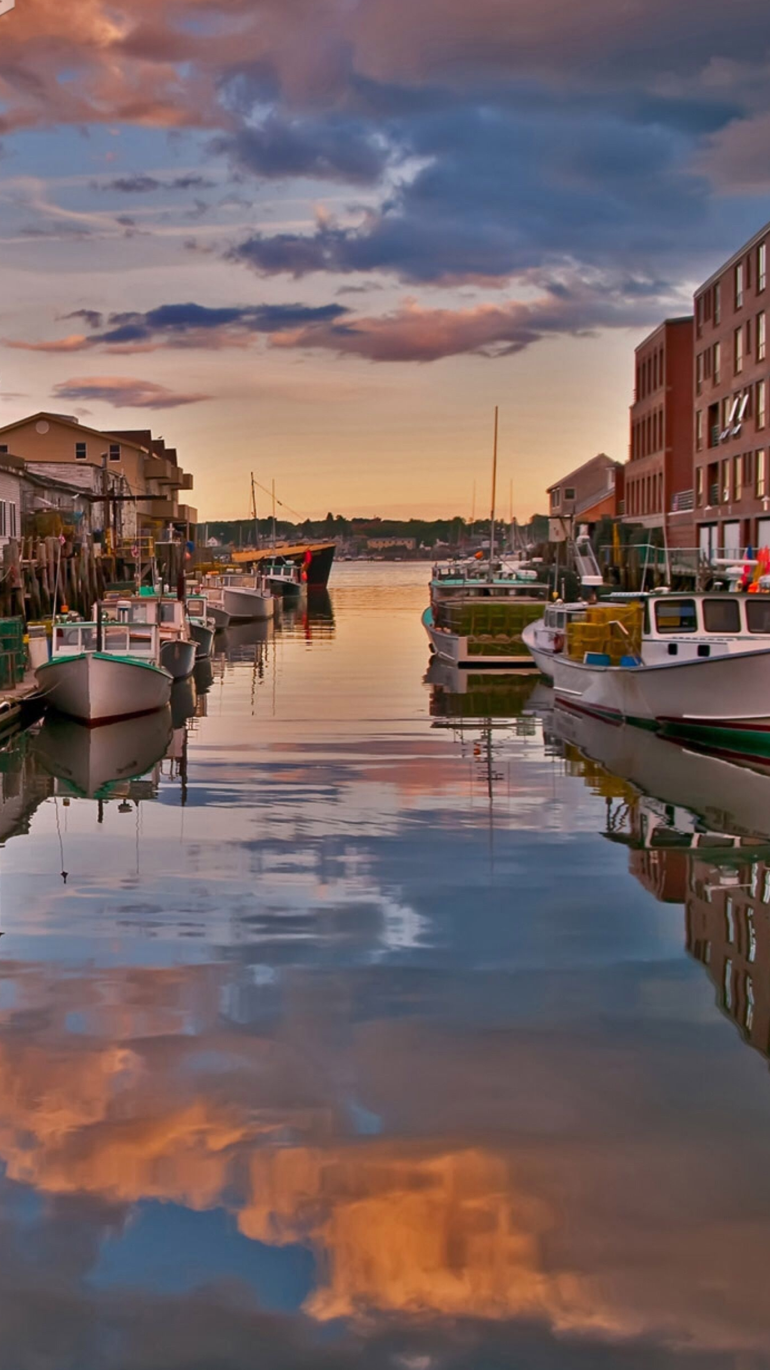 Portland, Maine bing backgrounds, 1540x2740 HD Phone