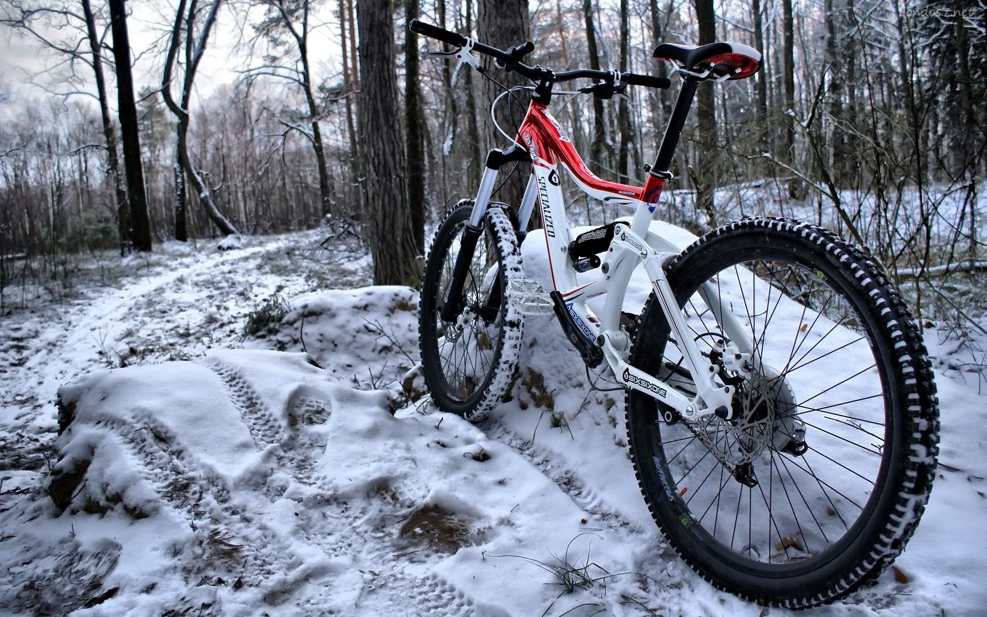 Stumpjumper FSR Comp 29, Specialized Bikes Wallpaper, 1920x1200 HD Desktop