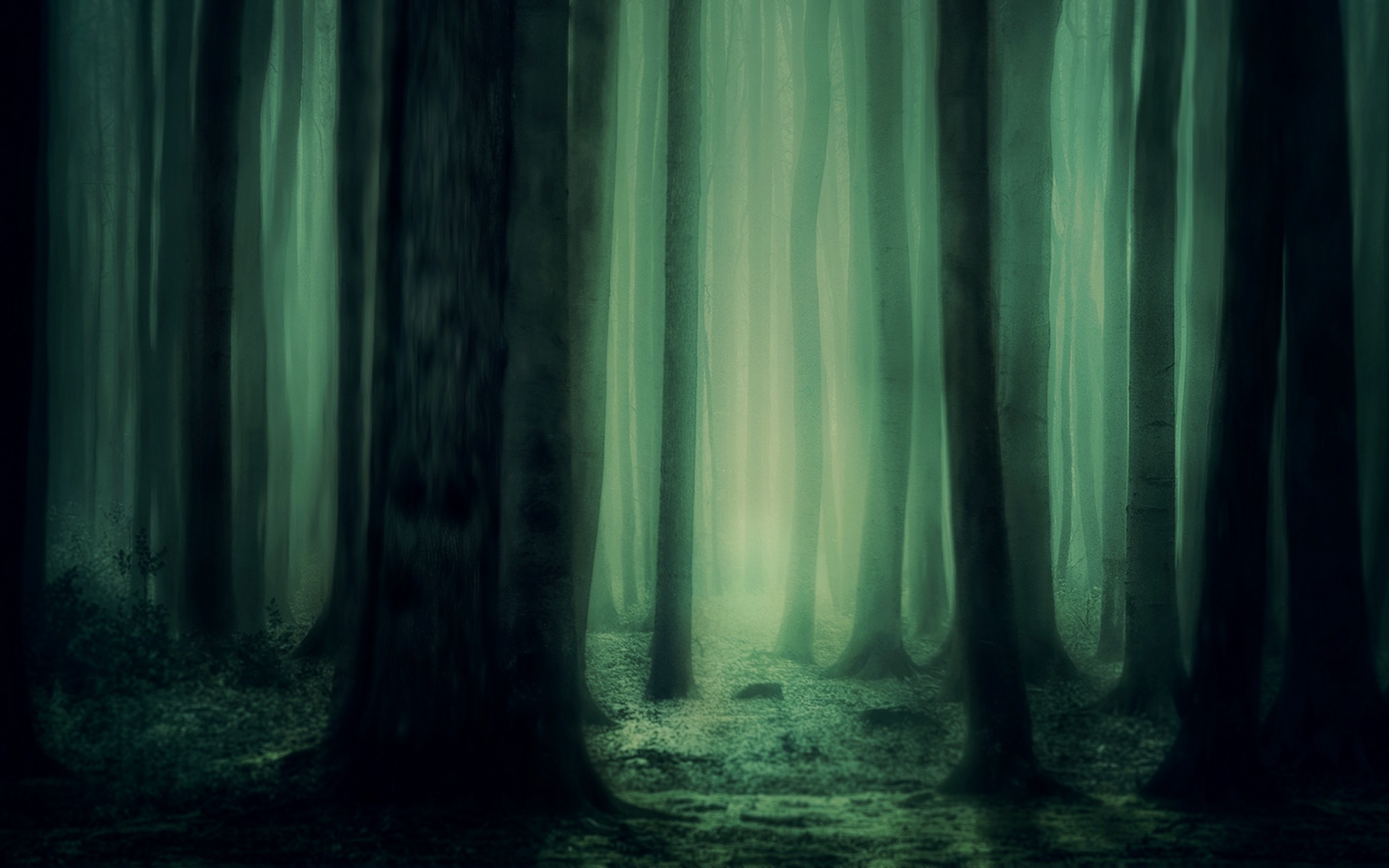 dark shadowy tree trunks, misty glowing forest clearing, eerie green fog, HD Desktop wallpaper
