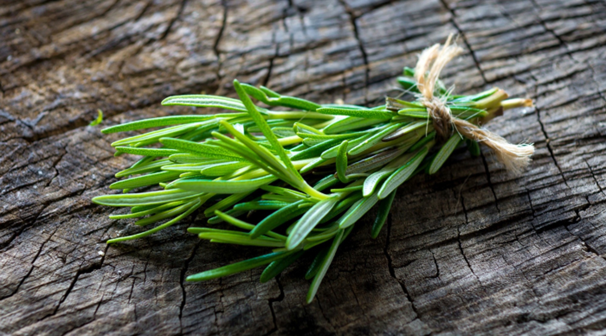 Rosemary versatility, Culinary delight, Medicinal herb, Fragrant foliage, 2000x1120 HD Desktop