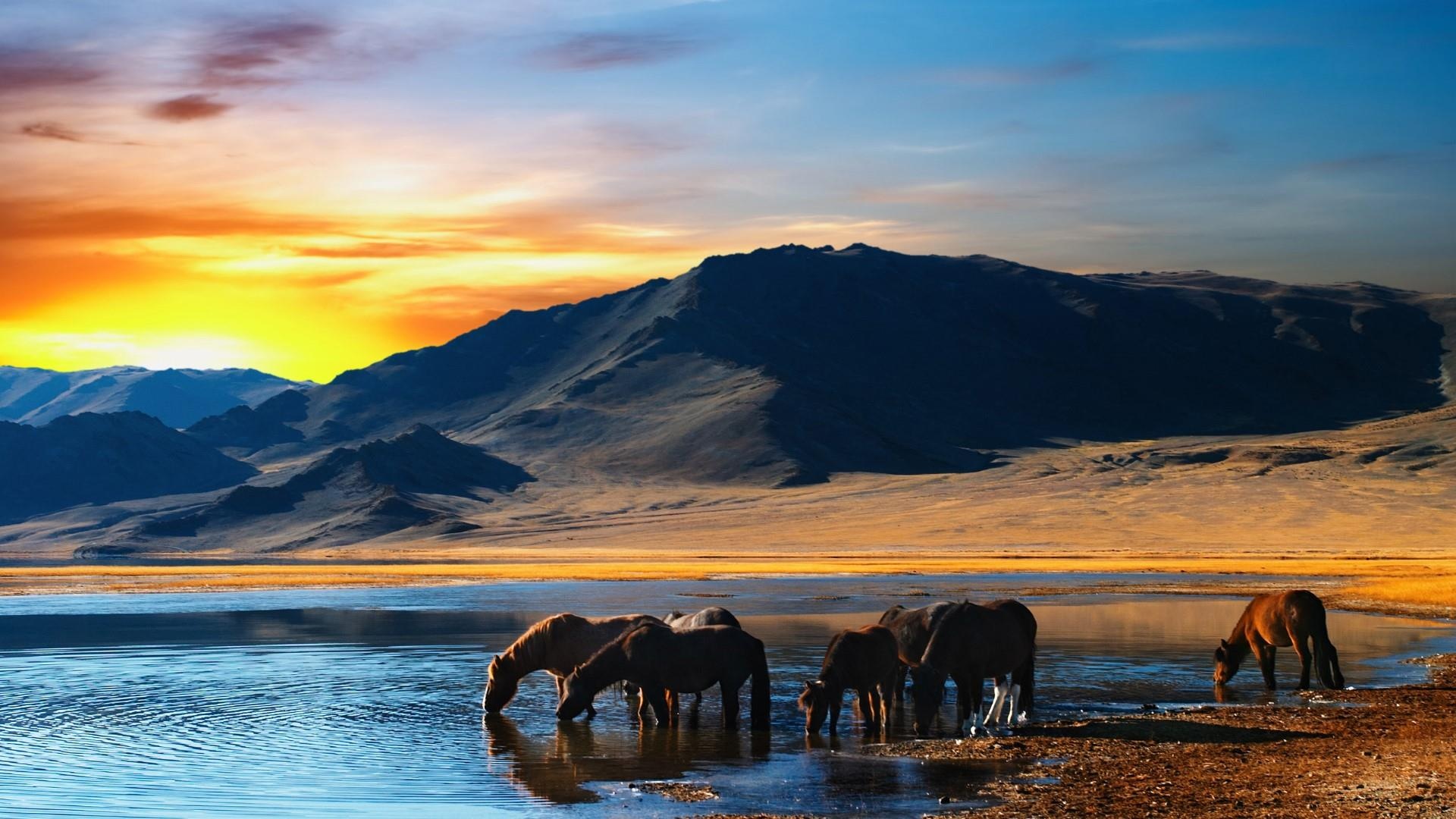 Mongolia, Desktop wallpapers, Stunning backgrounds, Computer, 1920x1080 Full HD Desktop