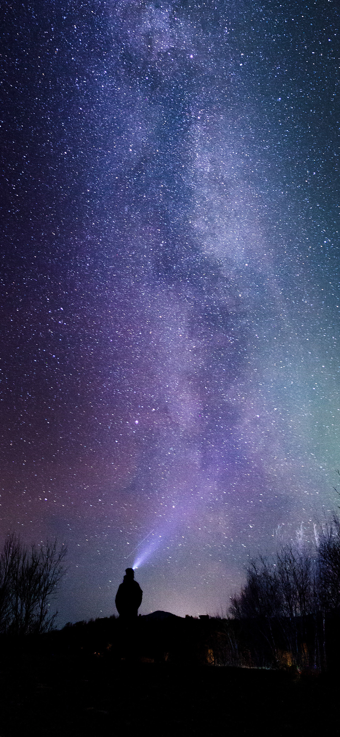 stargazer with headlamp beam, purple Milky Way galaxy, silhouetted trees at night, HD Phone wallpaper