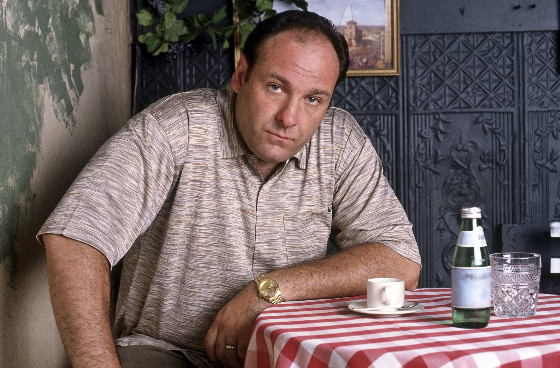 James Gandolfini, Movies, Actor, Background Images, 1920x1270 HD Desktop