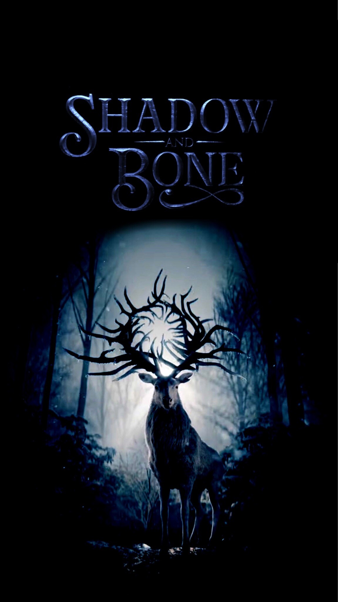 Shadow and Bone, TV Shows, Wallpapers, Backgrounds, 1160x2050 HD Phone