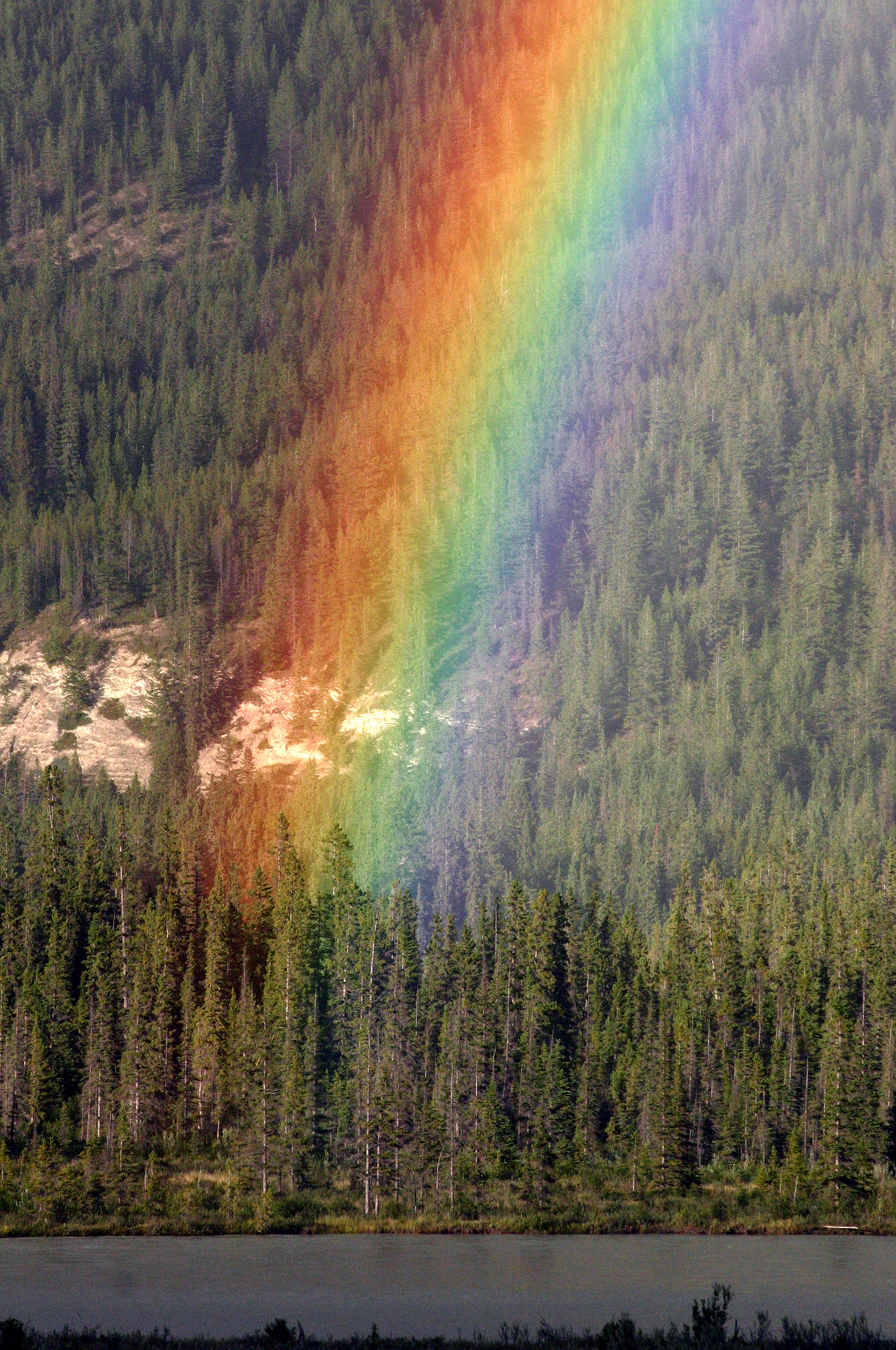 Vibrant rainbow arc, Dense pine forest slope, Riverbank in foreground, HD Phone wallpaper