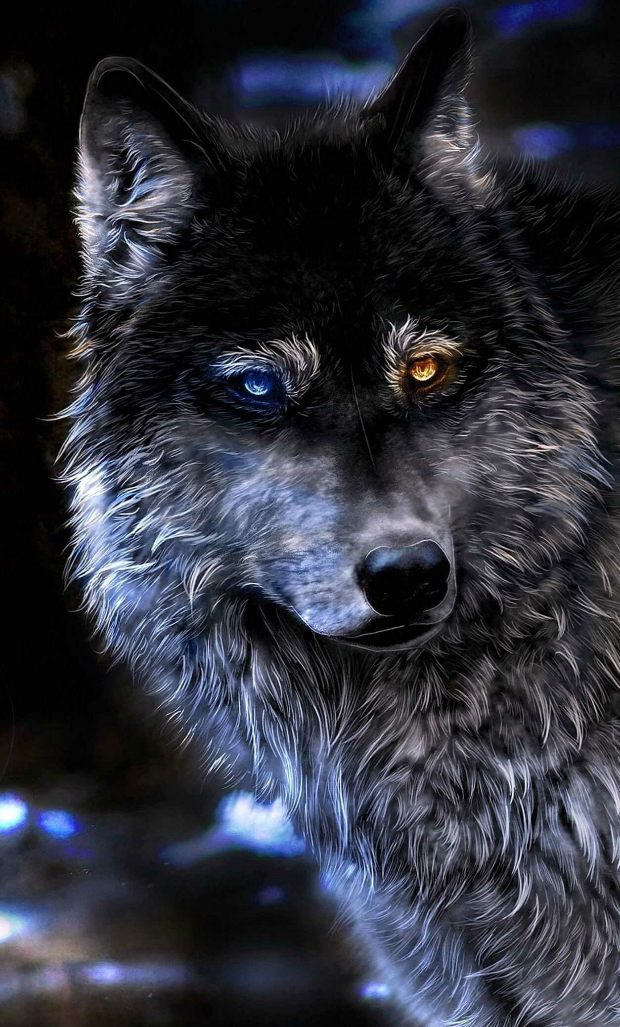 HD wolf wallpaper, High-quality imagery, Captivating visuals, Eye-catching design, 1260x2080 HD Phone