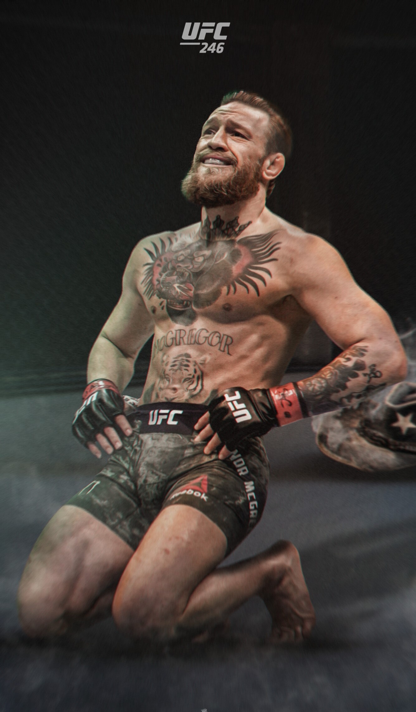 UFC 246, Mixed Martial Arts Wallpaper, 1340x2290 HD Phone