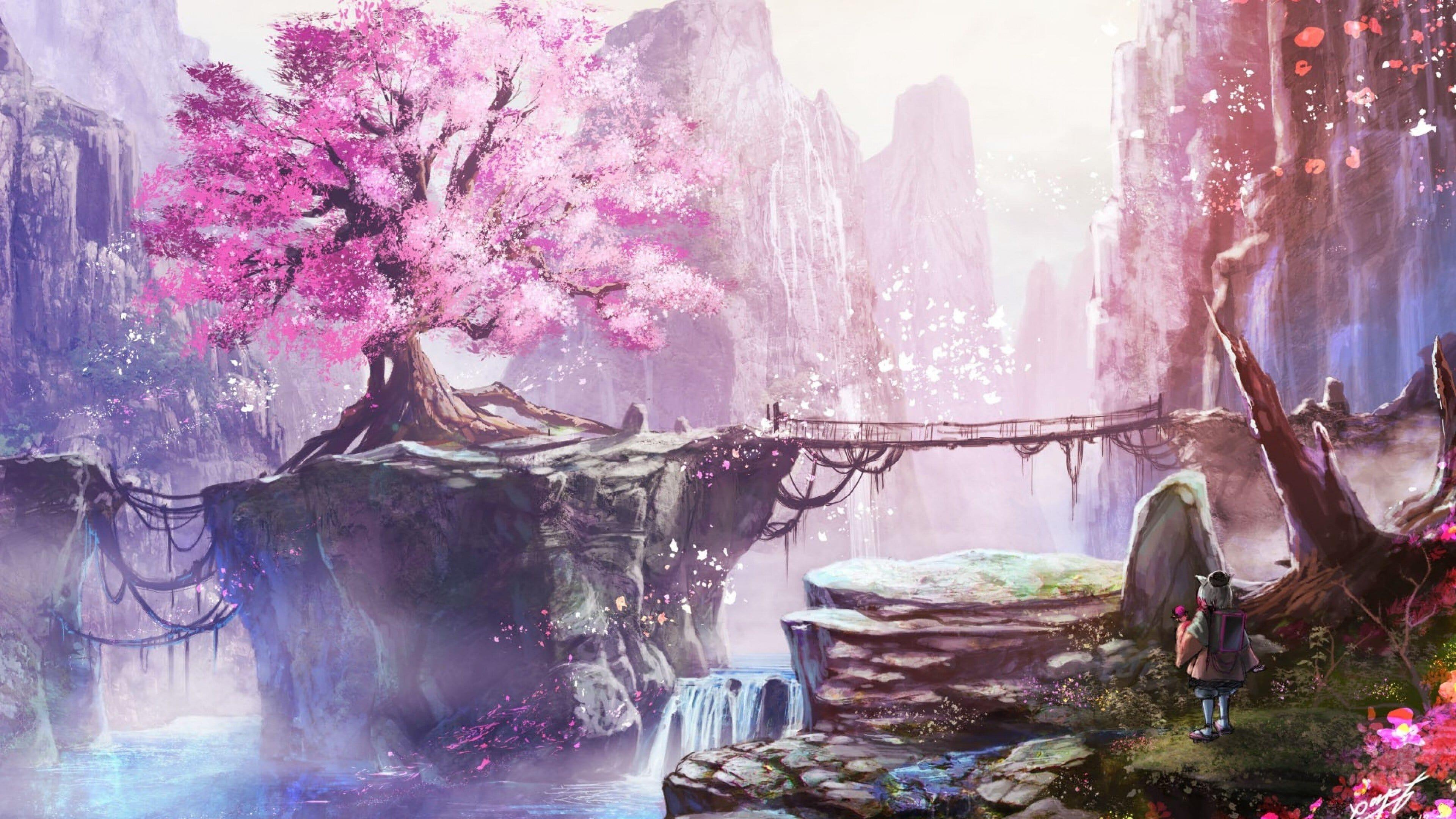 Blooming sakura tree, Wooden rope suspension bridge, Small hooded traveler, 4K Desktop wallpaper
