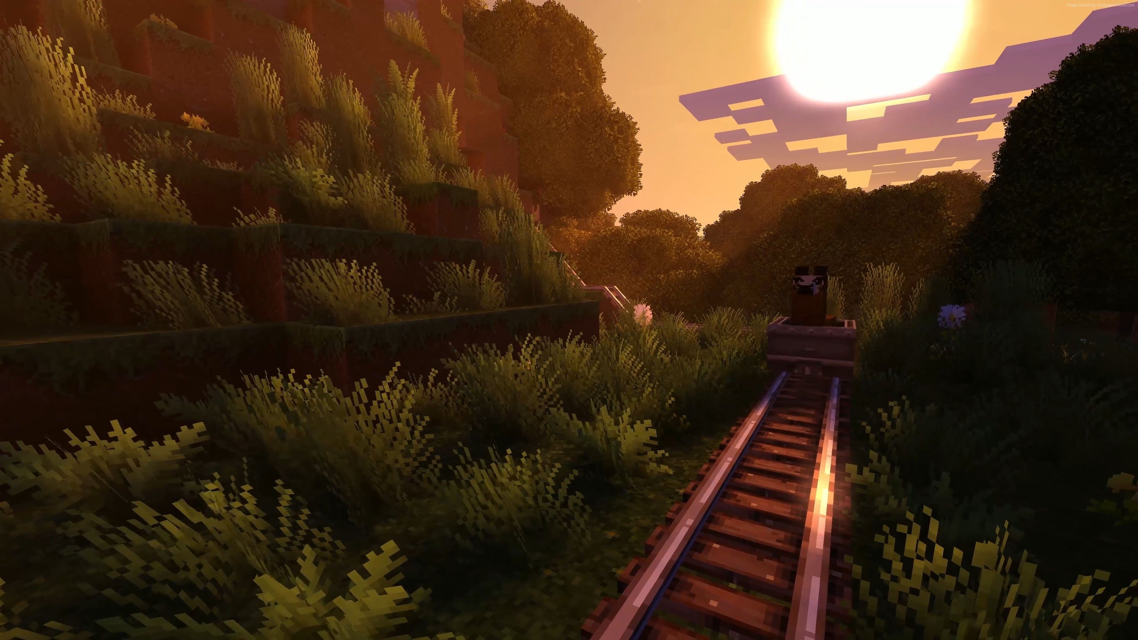 Minecraft cow in minecart, Minecraft railroad tracks, golden hour shader sunset, 4K Desktop wallpaper