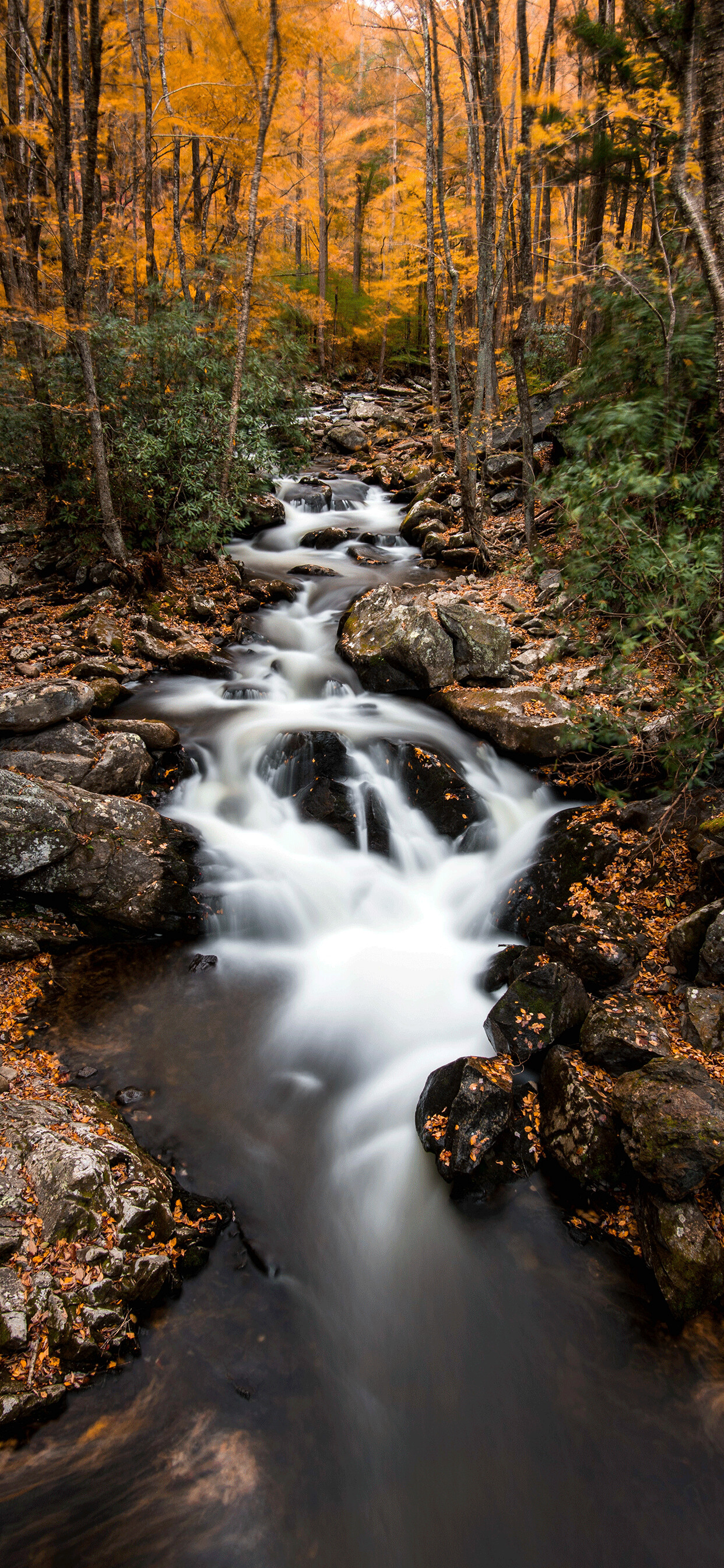 River iPhone wallpapers, Water flows gracefully, Nature's immersive beauty, Mobile serenity, 1250x2690 HD Phone