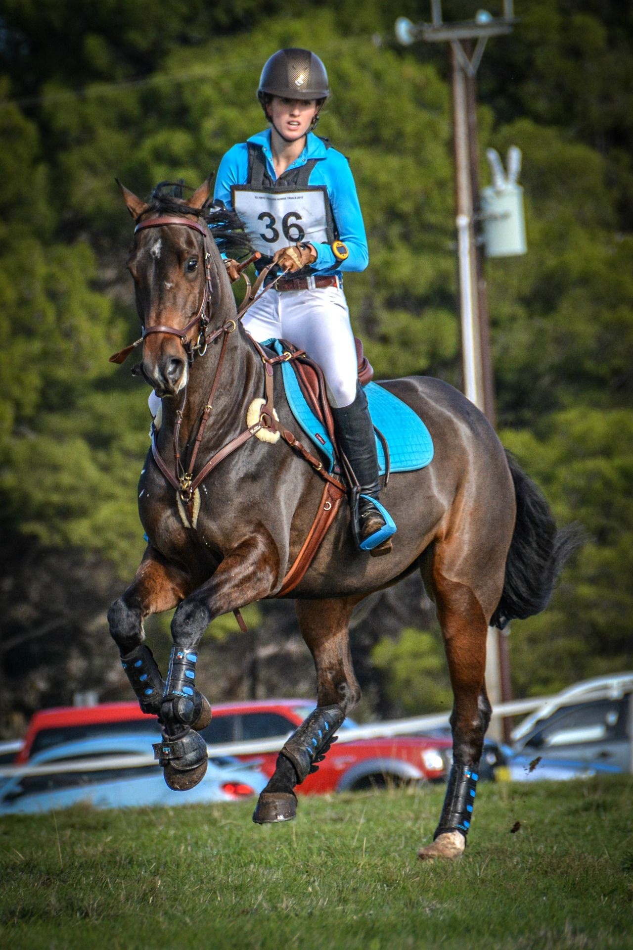 Eventing aesthetic, Eventing horses, Equestrian fashion, Equestrian sports, 1280x1920 HD Phone