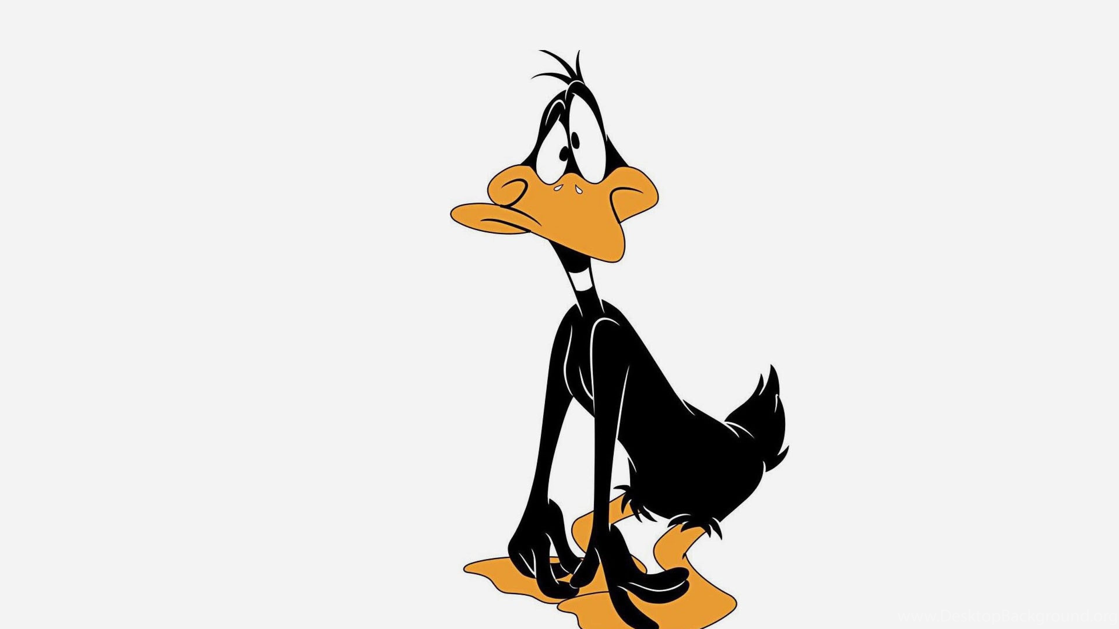 Daffy Duck, Looney Tunes Characters Wallpaper, 3840x2160 4K Desktop