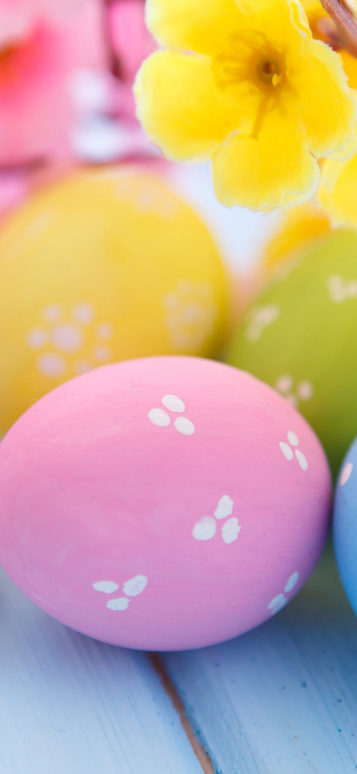 Easter eggs and blossoms, iPhone XS Max wallpaper, Breathtaking beauty, Visual splendor, 1250x2690 HD Phone