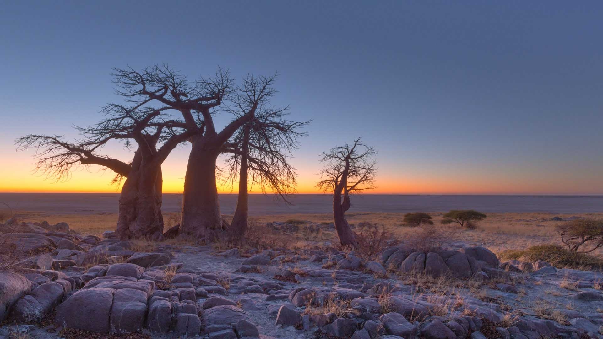 Makgadikgadi Pan, Mesmerizing landscapes, Natural wonder, Panoramic beauty, 1920x1080 Full HD Desktop