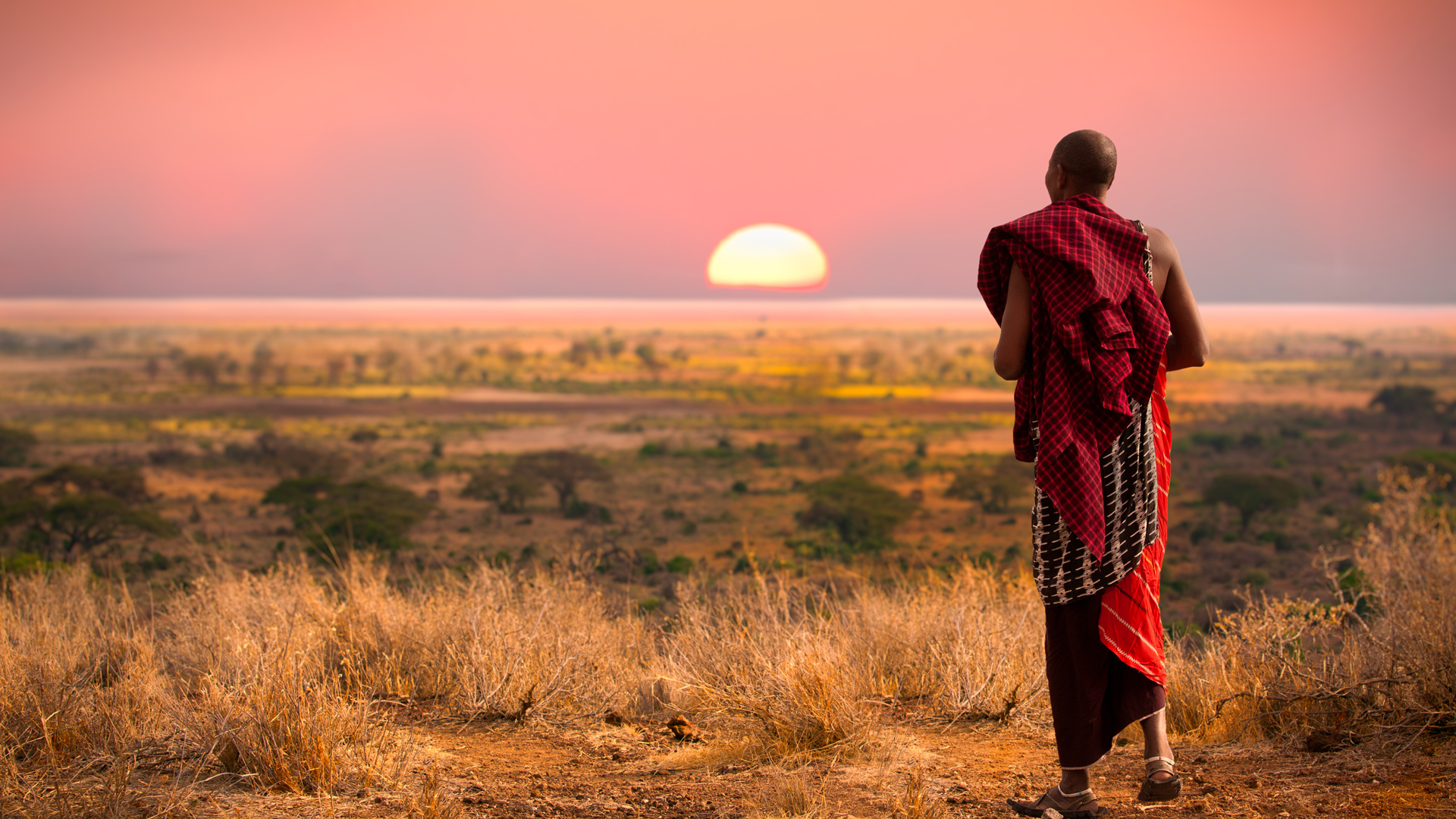 Safari Kenya Masai Mara, 1920x1080 Full HD Desktop