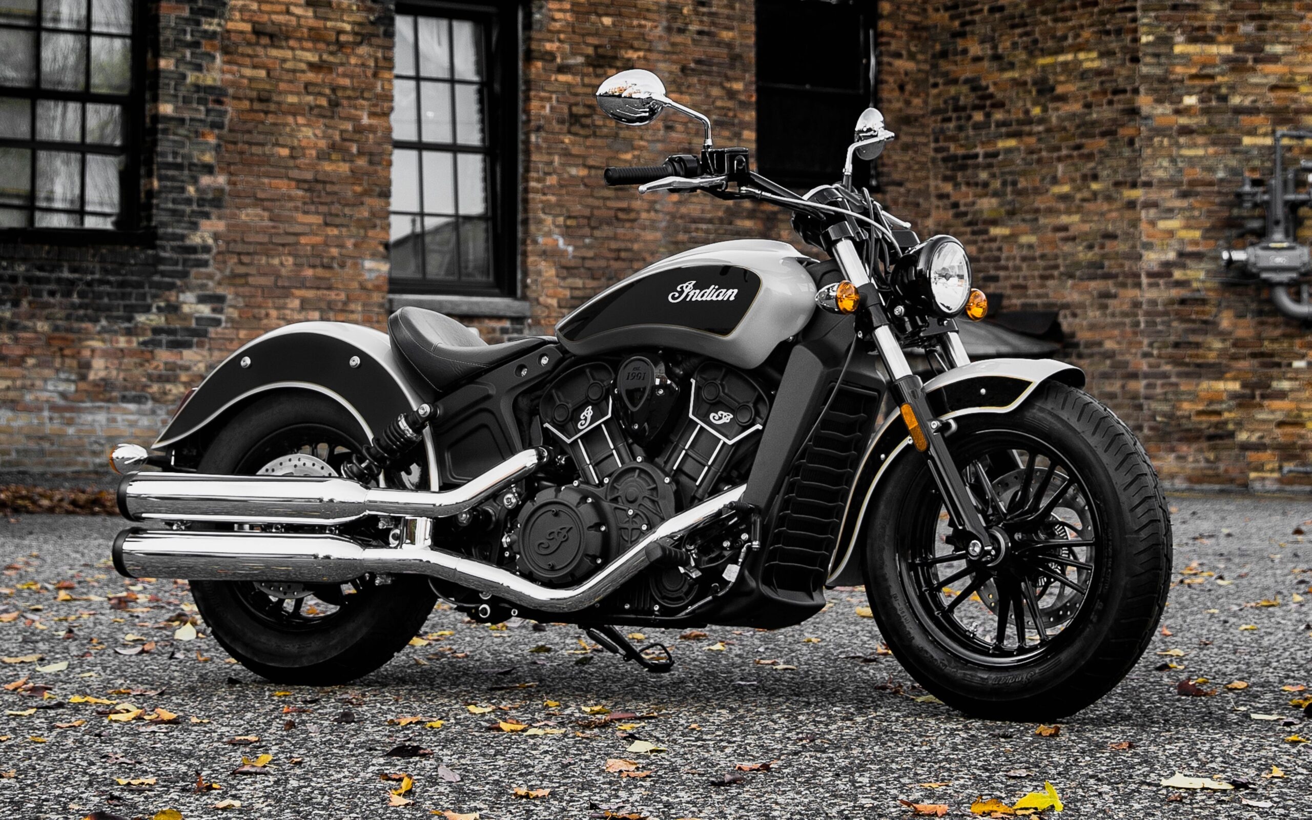 Indian Scout, Auto legend, Scout bike, Pickootech, 2560x1600 HD Desktop