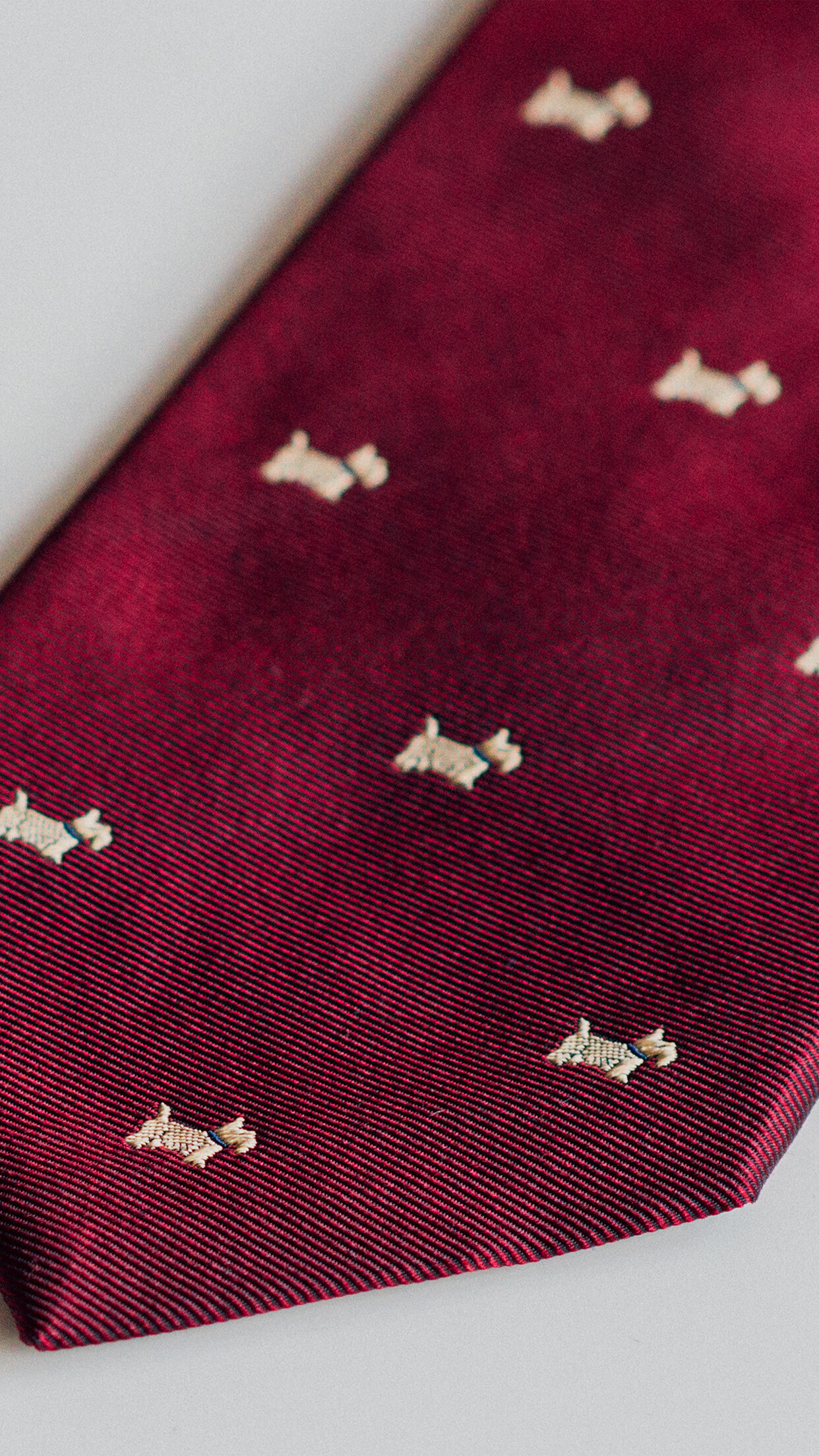 Gentleman - Red tie, Terriors fashion, Mannered wallpaper, 1250x2210 HD Phone