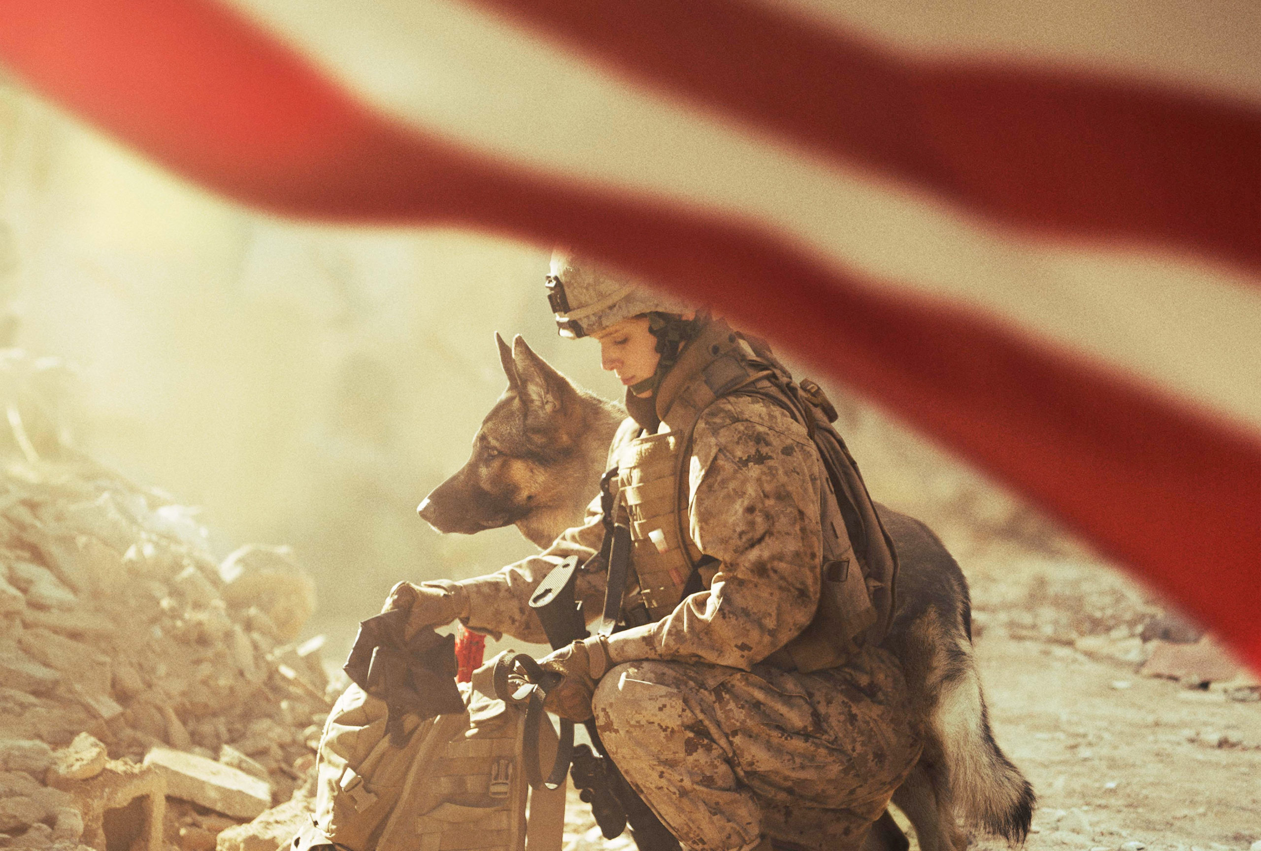 Megan Leavey, 2017 movie, 4K wide, Visual spectacle, 2560x1730 HD Desktop