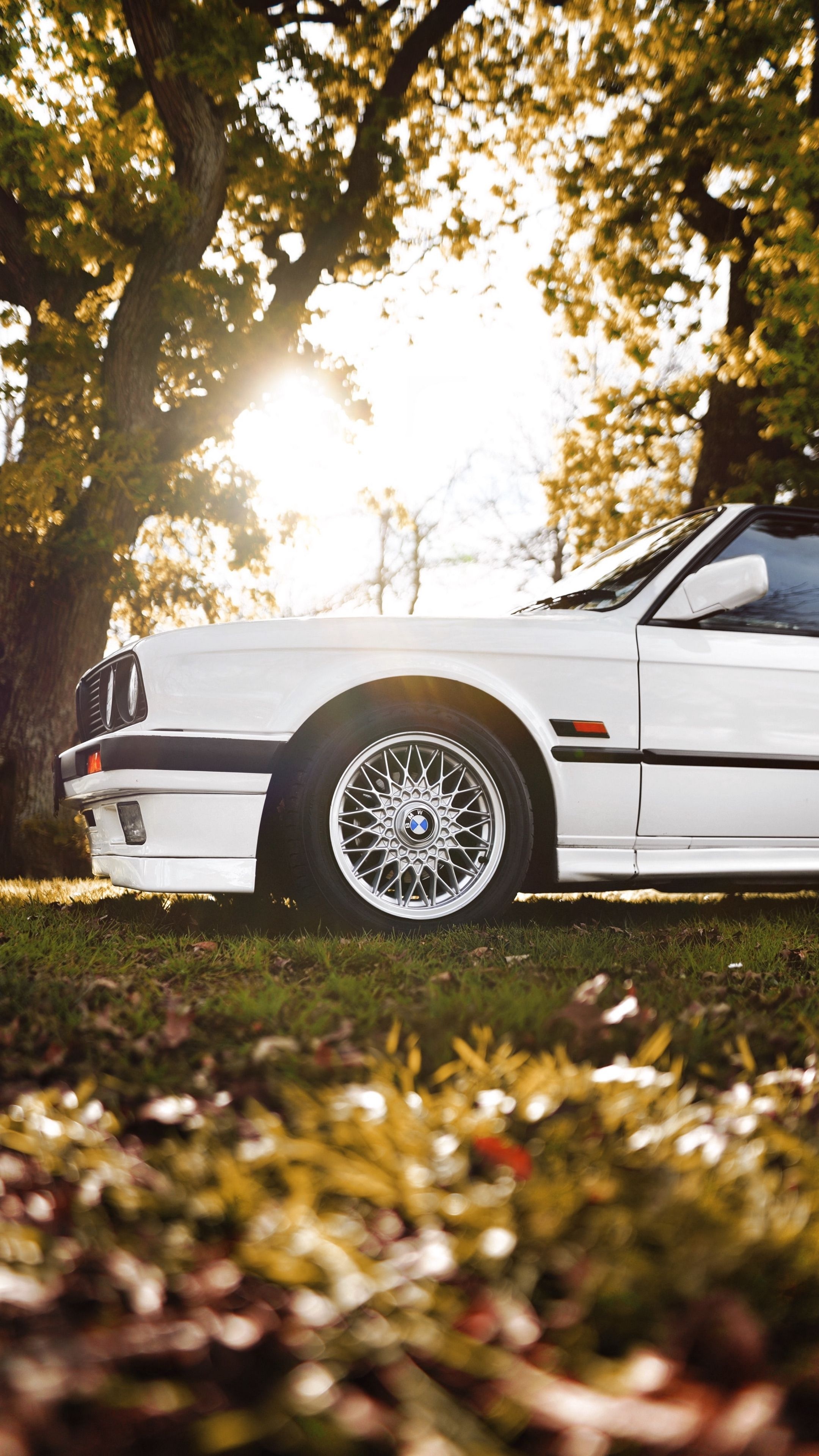 white BMW E30, BBS basketweave wheels, sunlit autumn trees, 4K Phone wallpaper